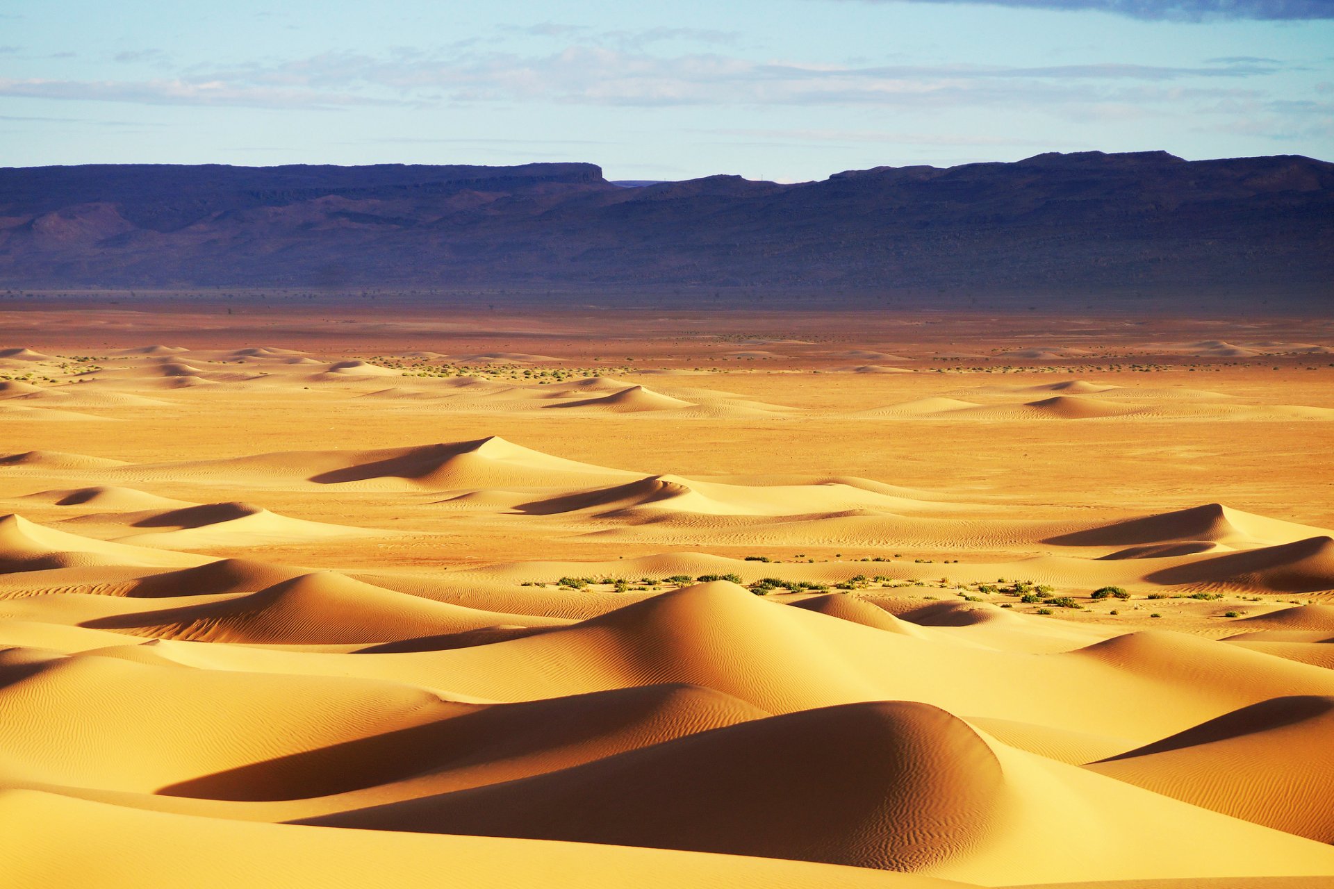 désert dunes barkhans texture sable collines ciel