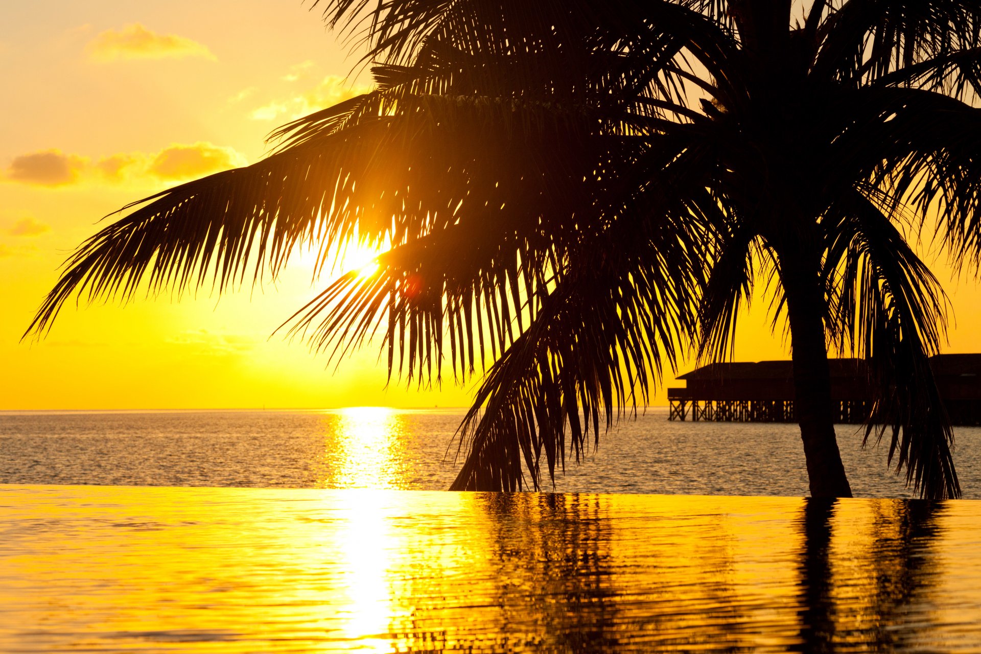 schwimmbad wasser sonne reflexionen palme pier