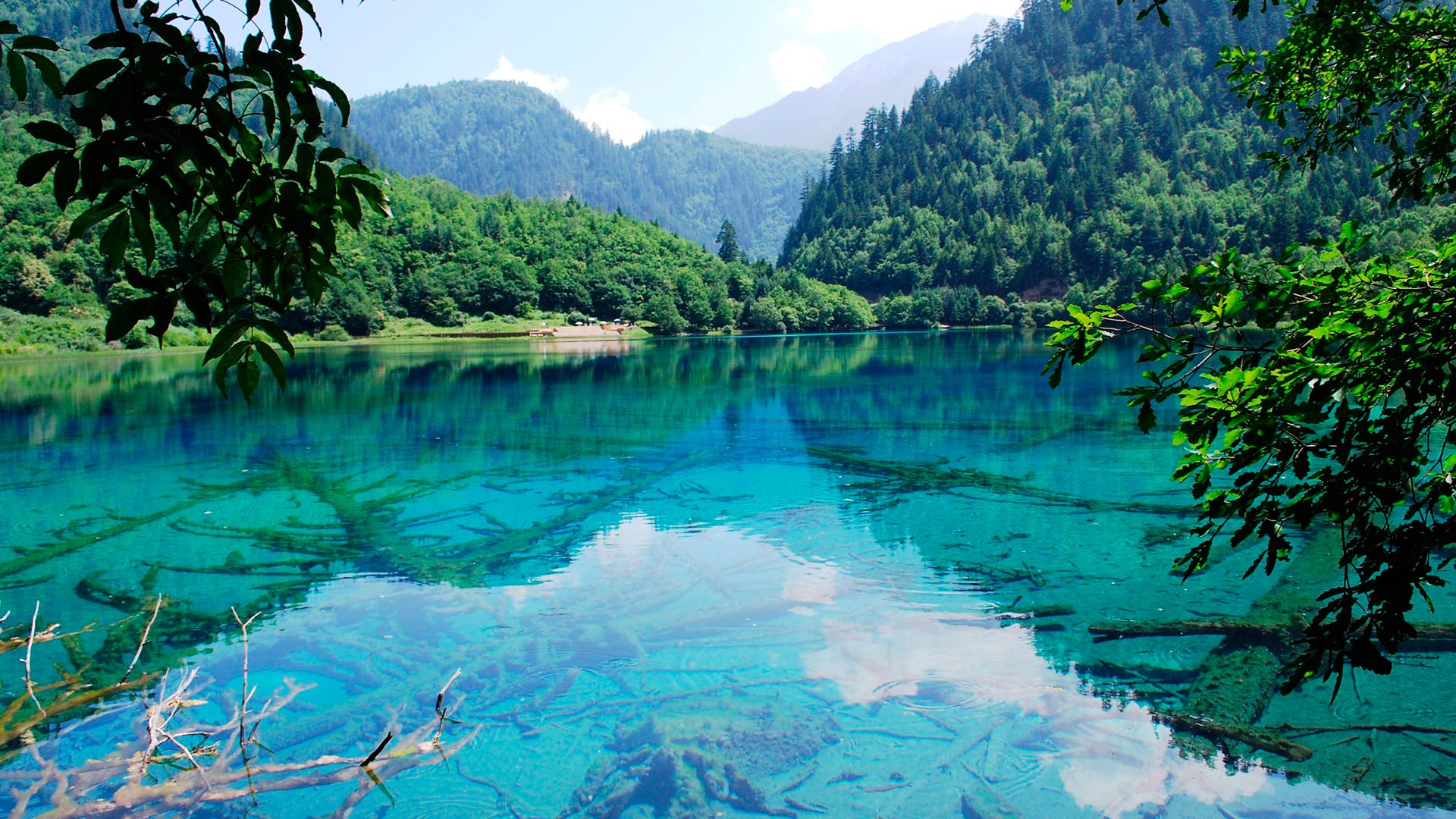 montañas lago bosque naturaleza