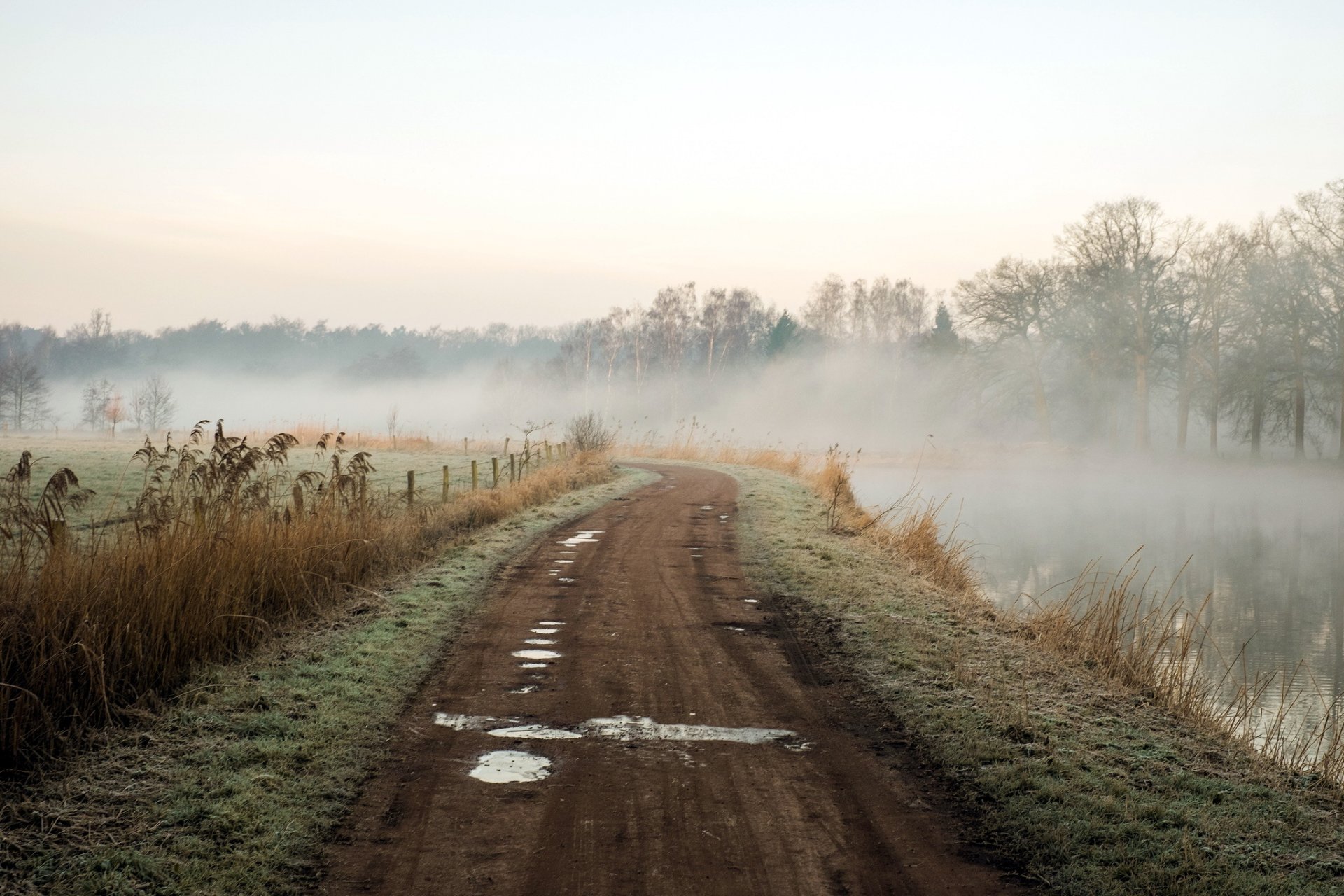 matin route rivière brouillard nature paysage