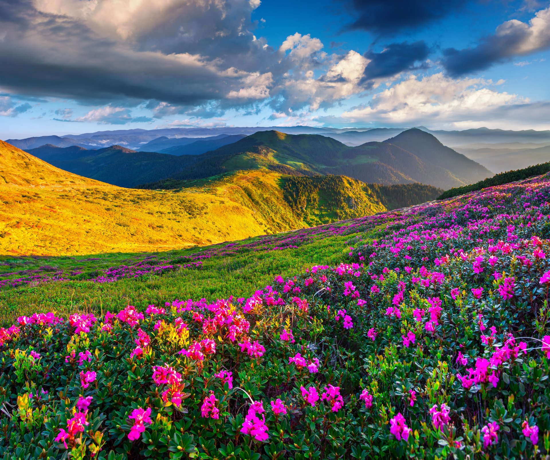 naturaleza paisaje montañas primavera prados flores cielo sol