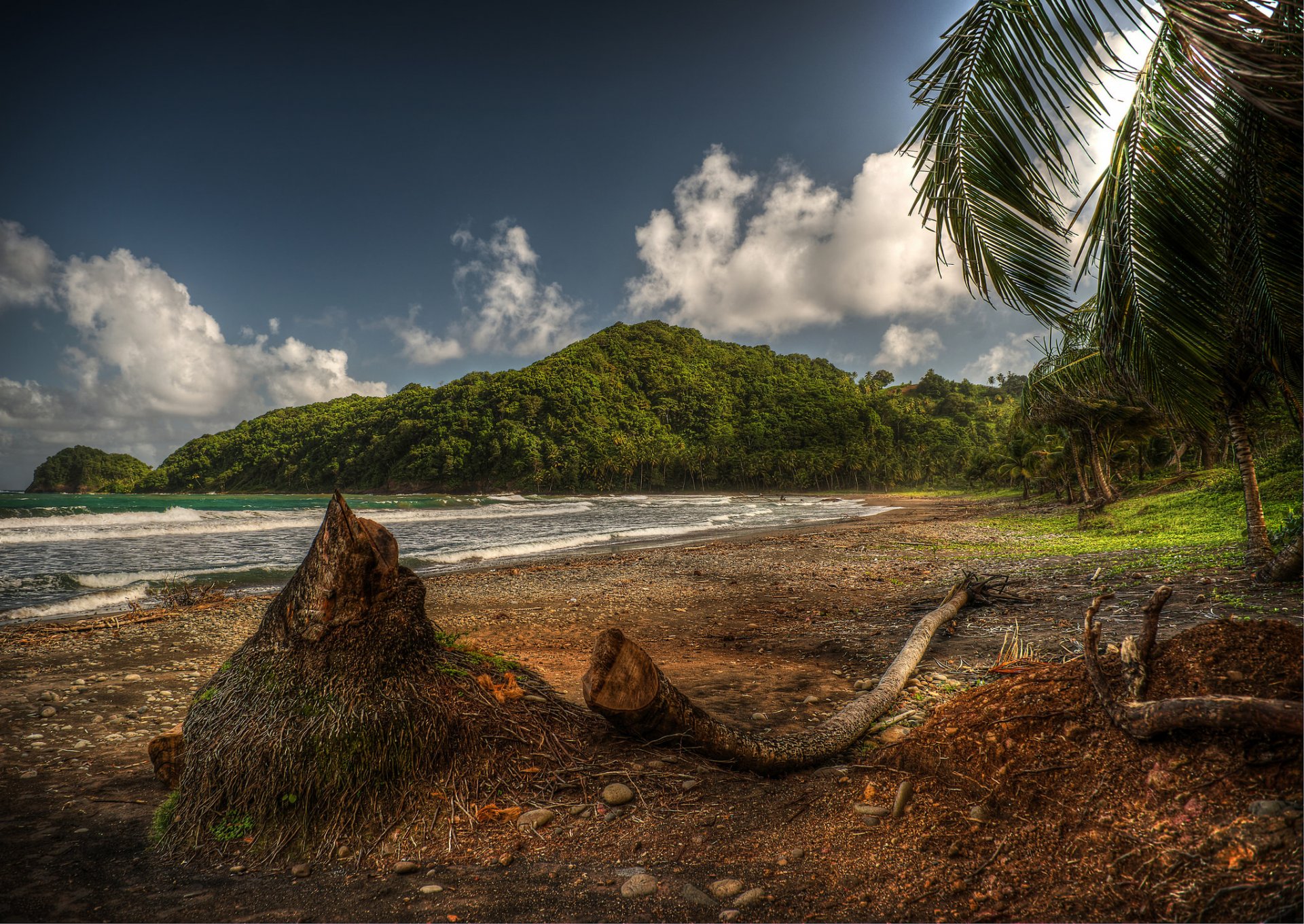 baia spiaggia alberi caraibi