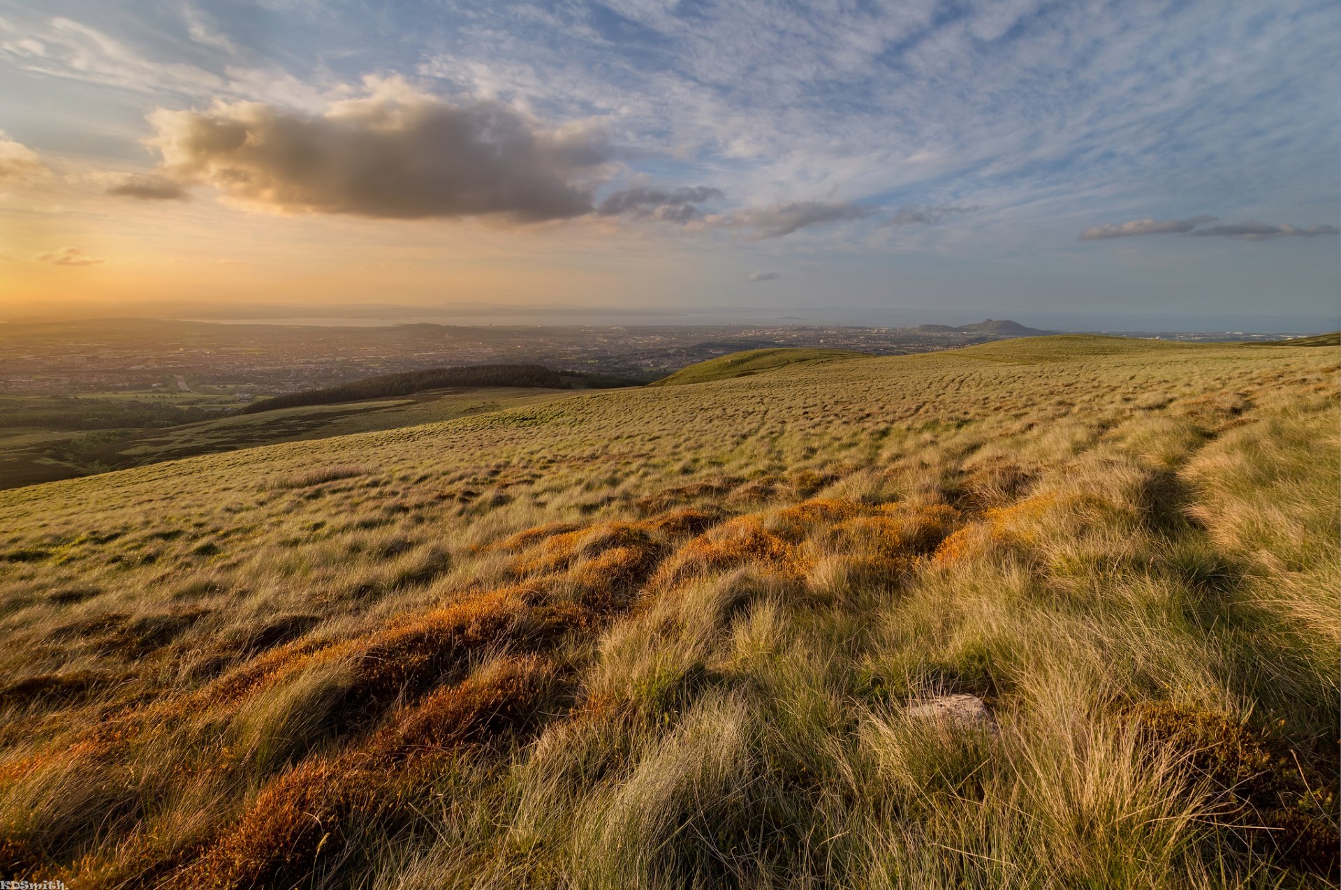 hills the field grass waves dawn