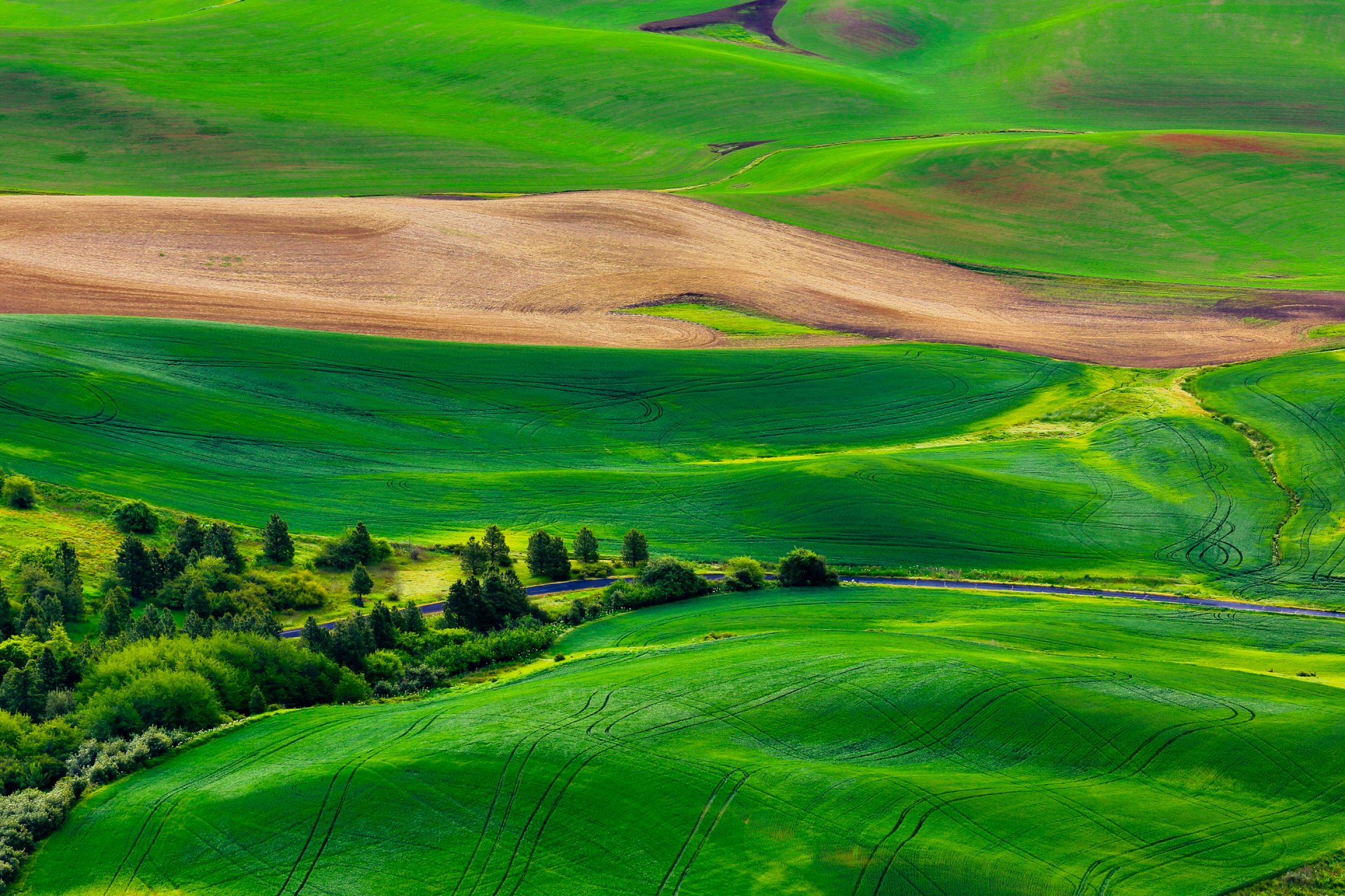 przyroda pole wzgórza trawa droga drzewa panorama