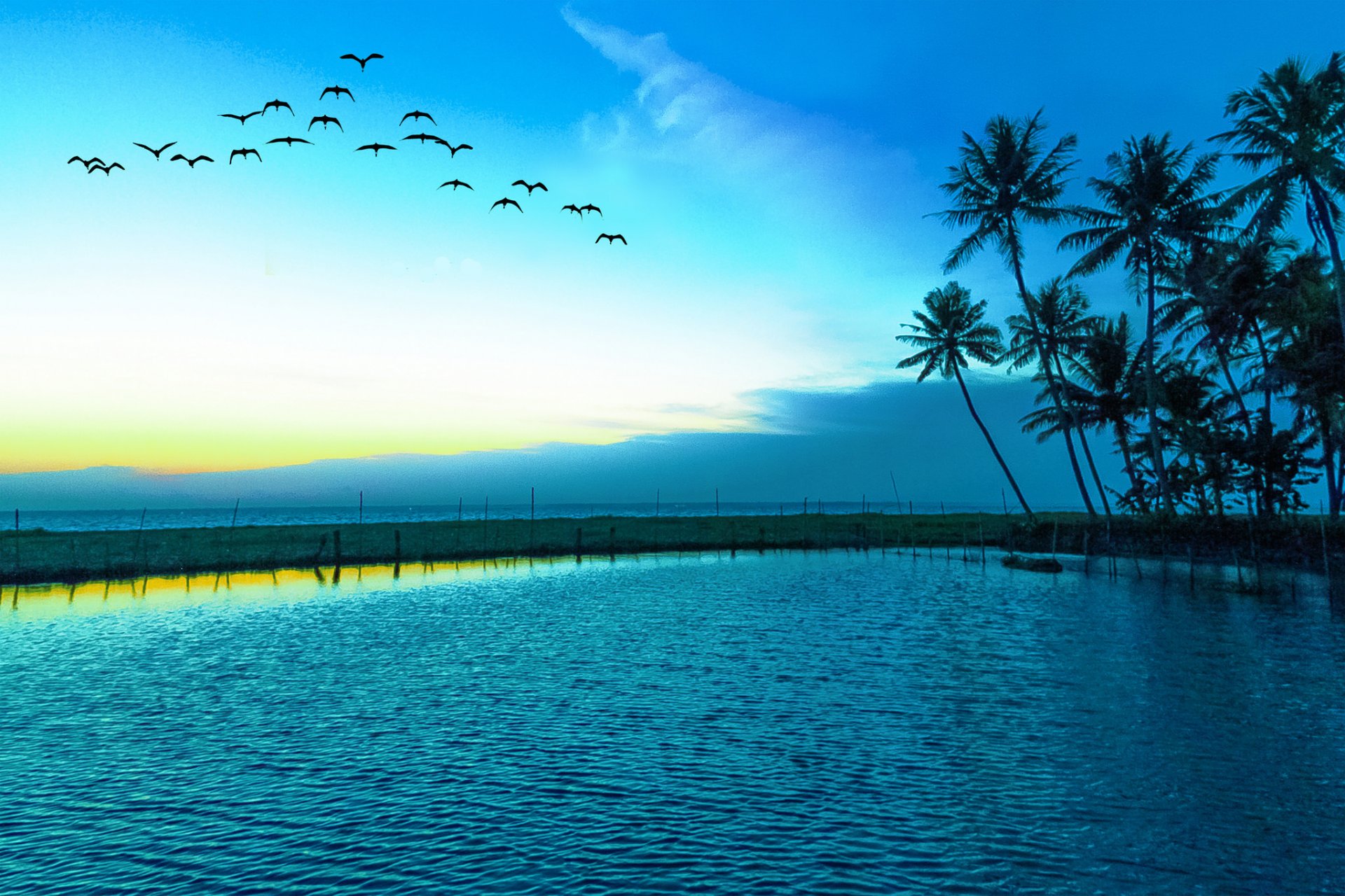 landschaft blauer himmel meer möwen