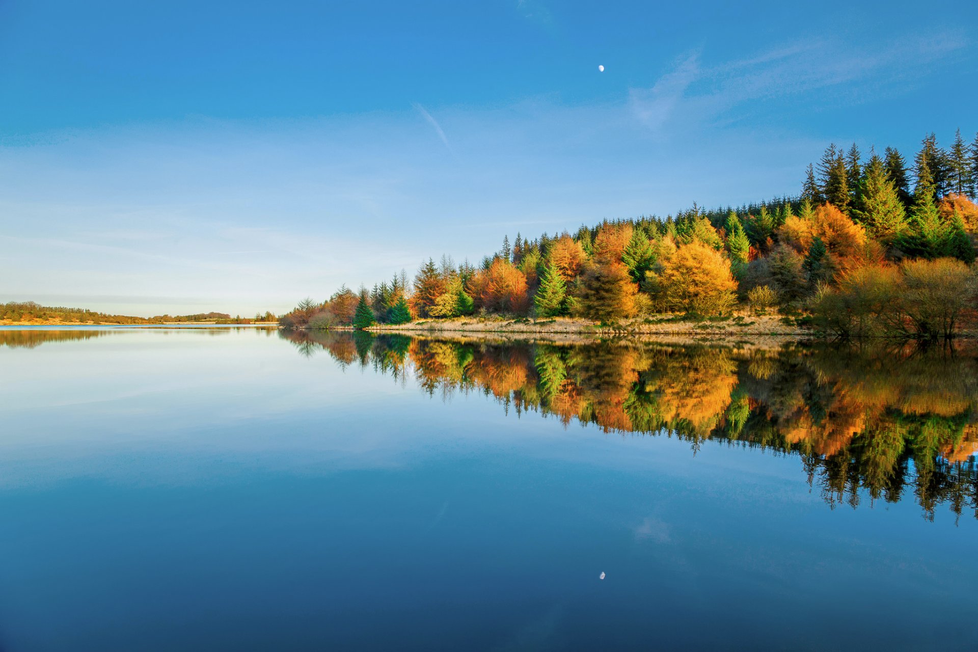 anglia wielka brytania park narodowy dartmoor hrabstwo devon zbiornik woda niebo drzewa las odbicia zima styczeń