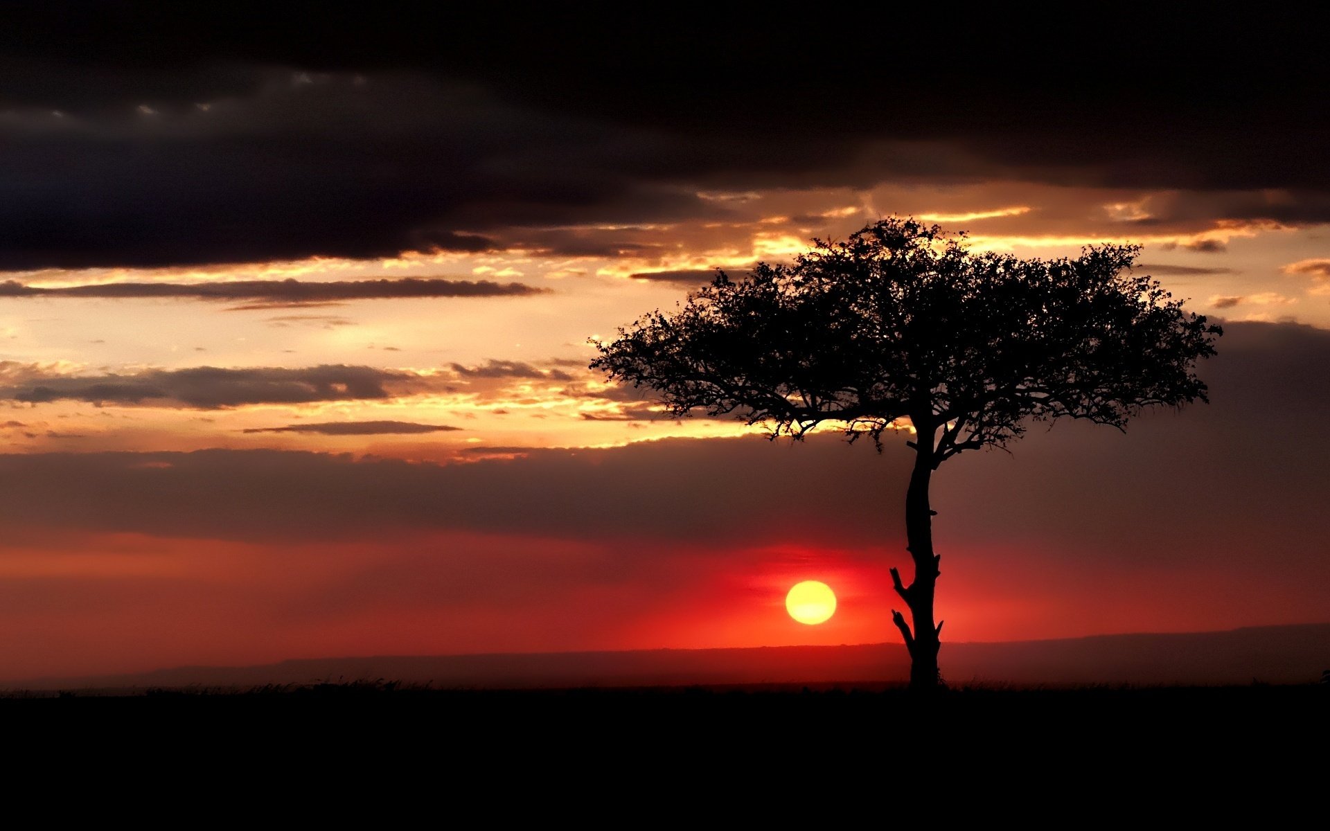 sole tramonto cielo nuvole albero