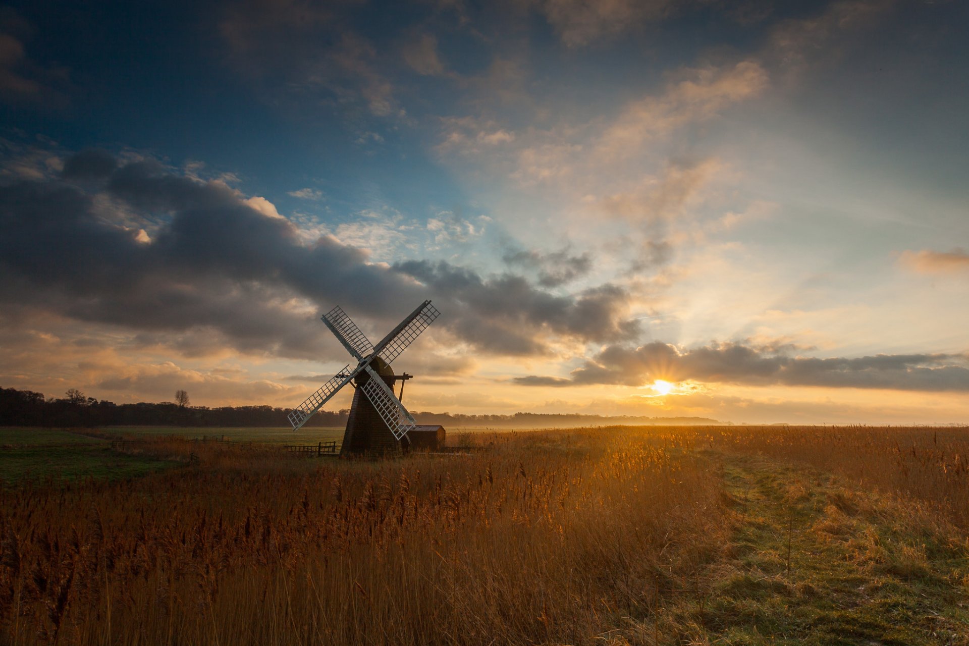 champ moulin soleil matin