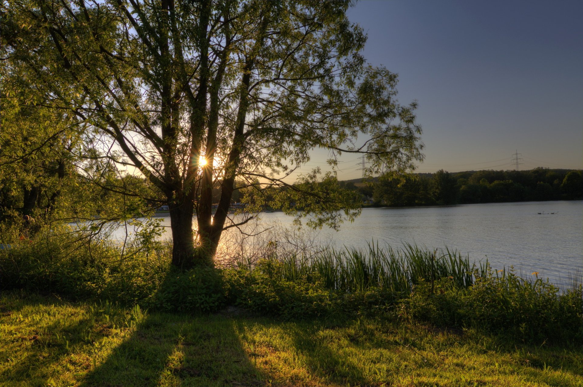 germany hesse wettenberg lake beach tree sky sun ray