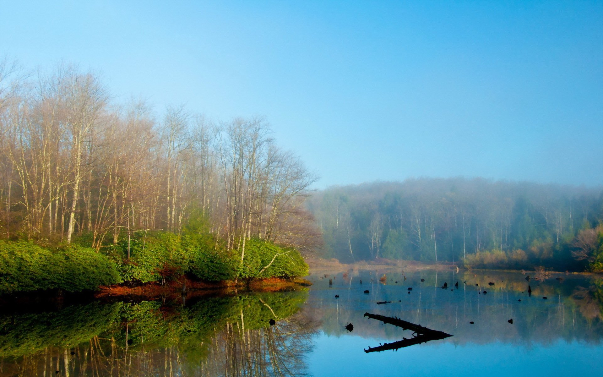 morning fog lake landscape