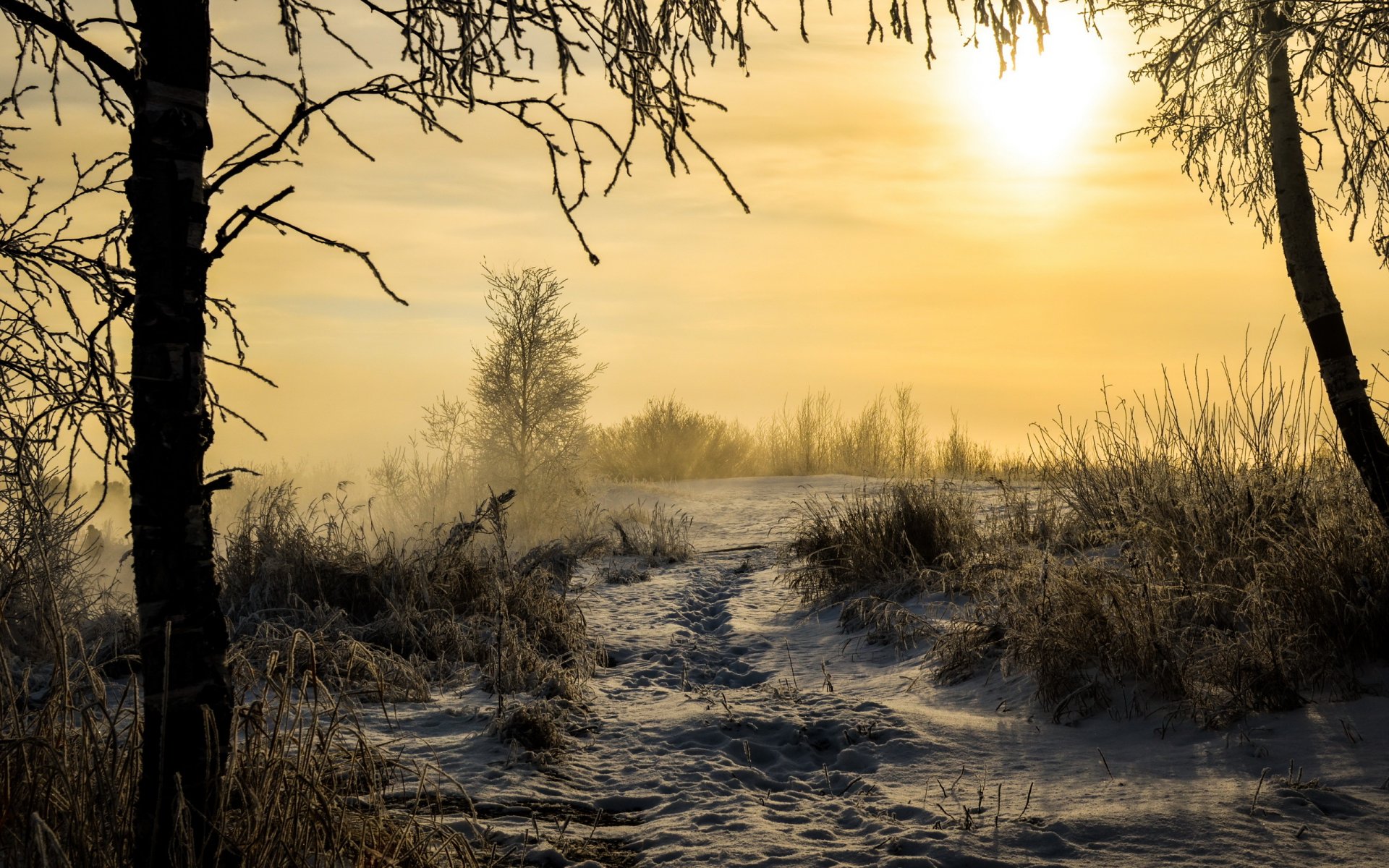 morgen winter schnee landschaft