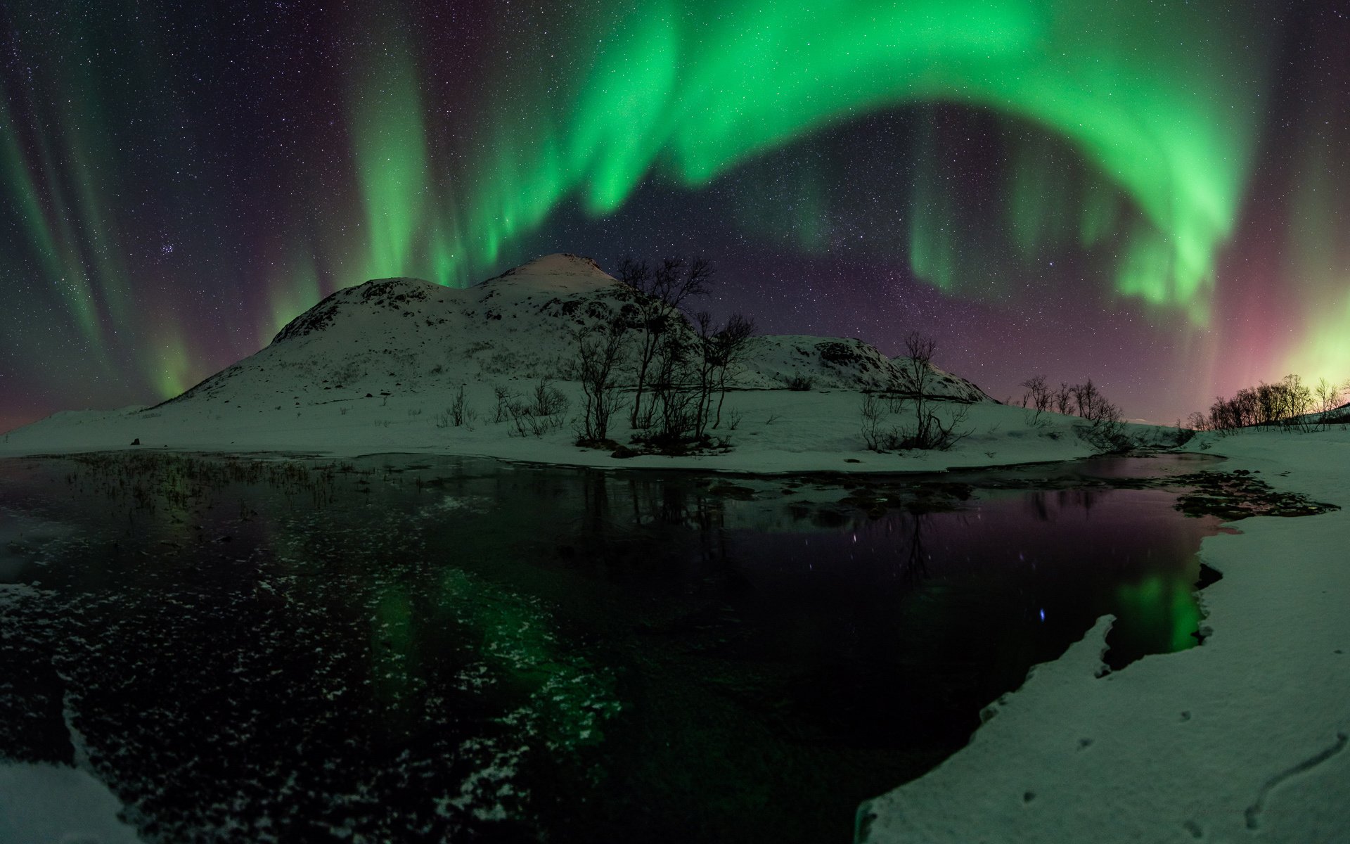 aurora aurora boreale notte verde neve acqua stelle alberi