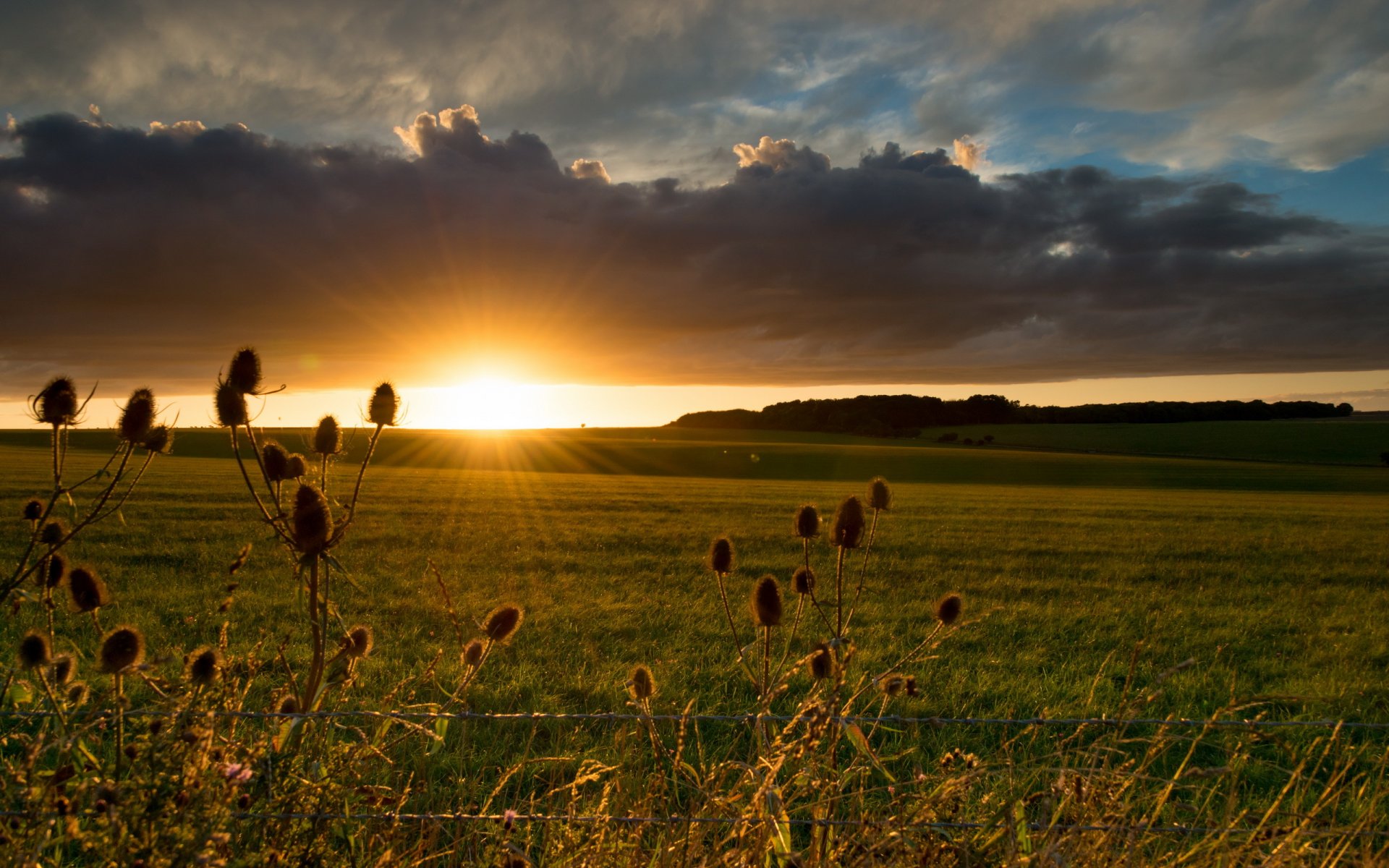 sonnenuntergang feld landschaft