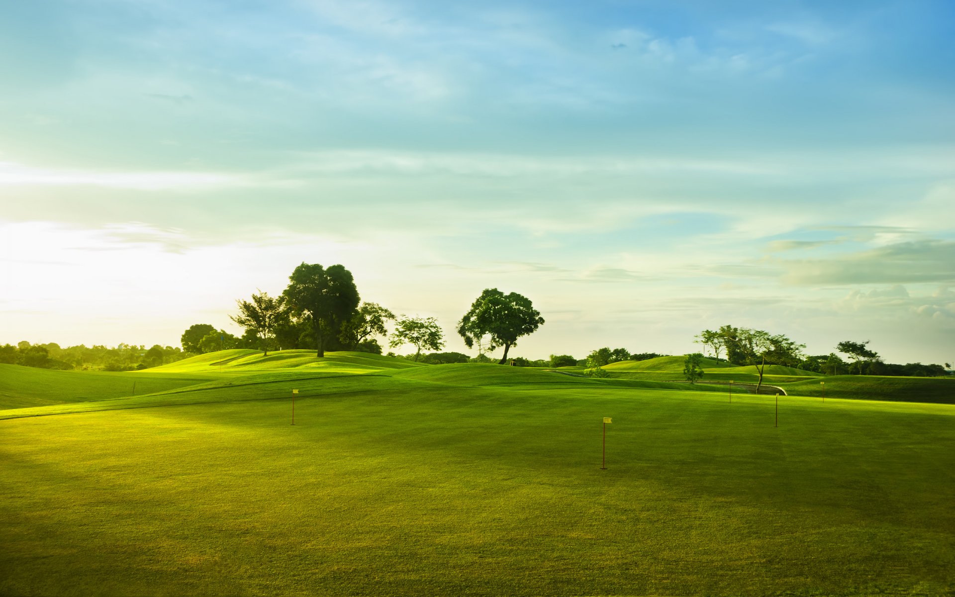 pole golfowe krajobrazy natura sport trawa wzgórza drzewa niebo chmury flagi flaga zielona trawa zielone pole tapeta panoramiczna 2560x1600 golf tapeta sportowa