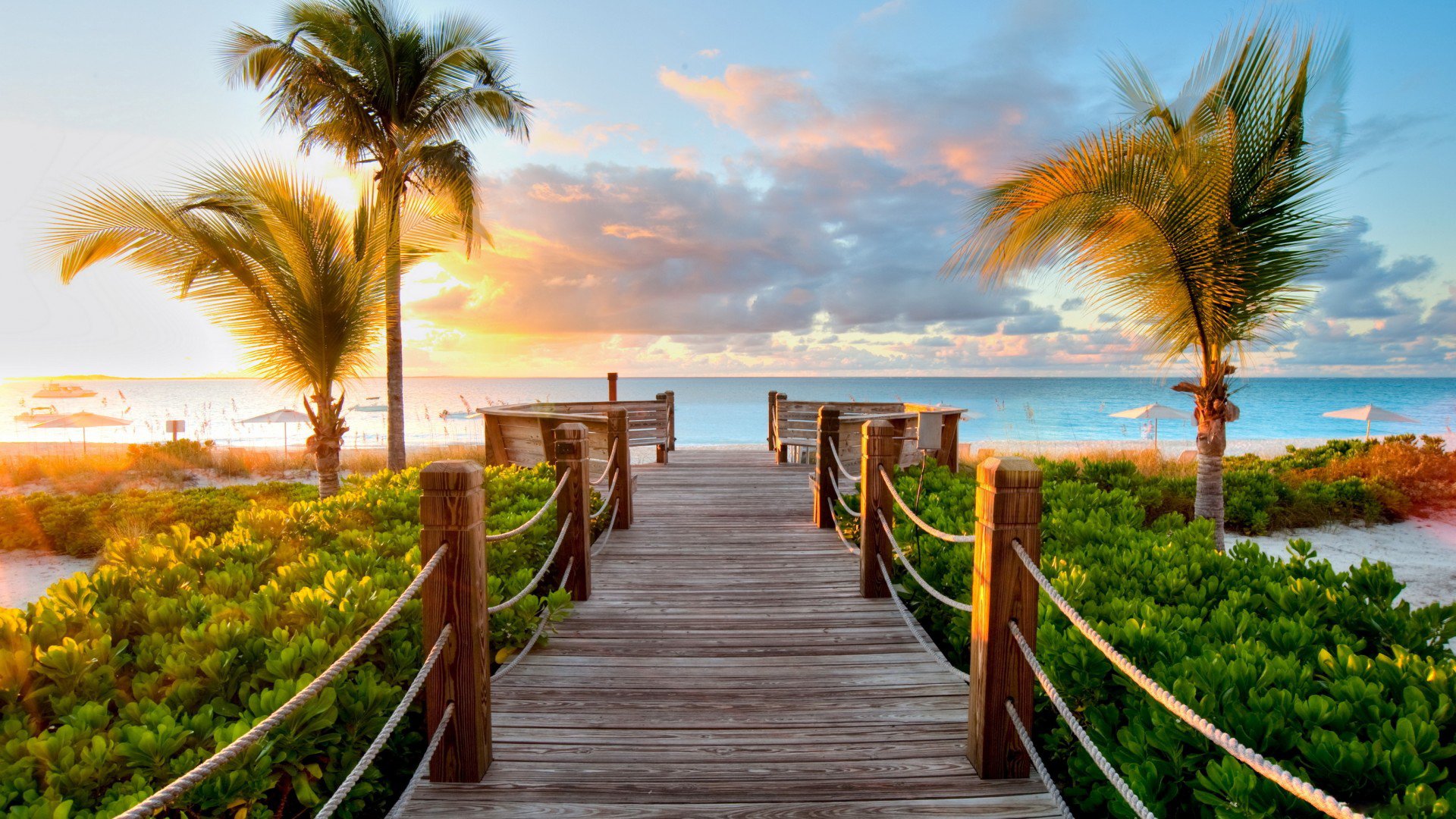 mer palmiers passerelle plage