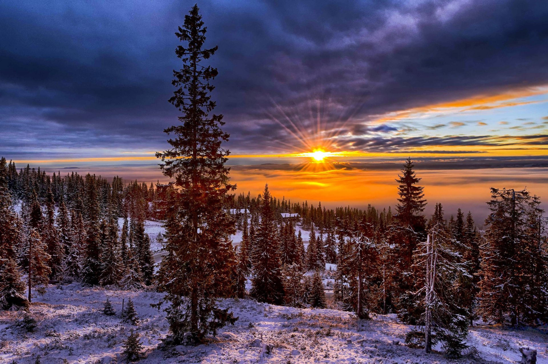 norvège vallée montagnes collines arbres arbres de noël neige hiver soleil ciel coucher de soleil nature paysage