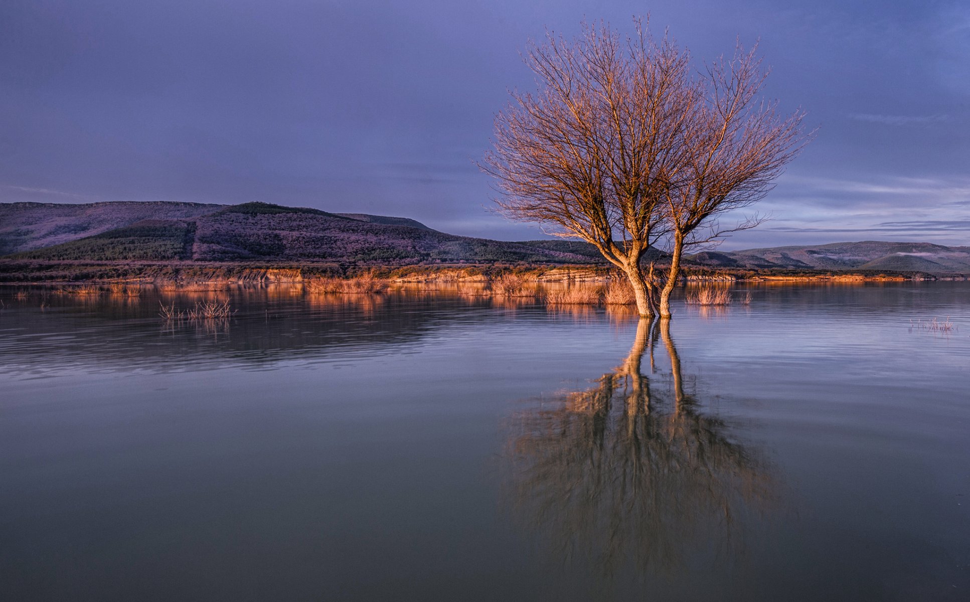 hills lake tree cloud