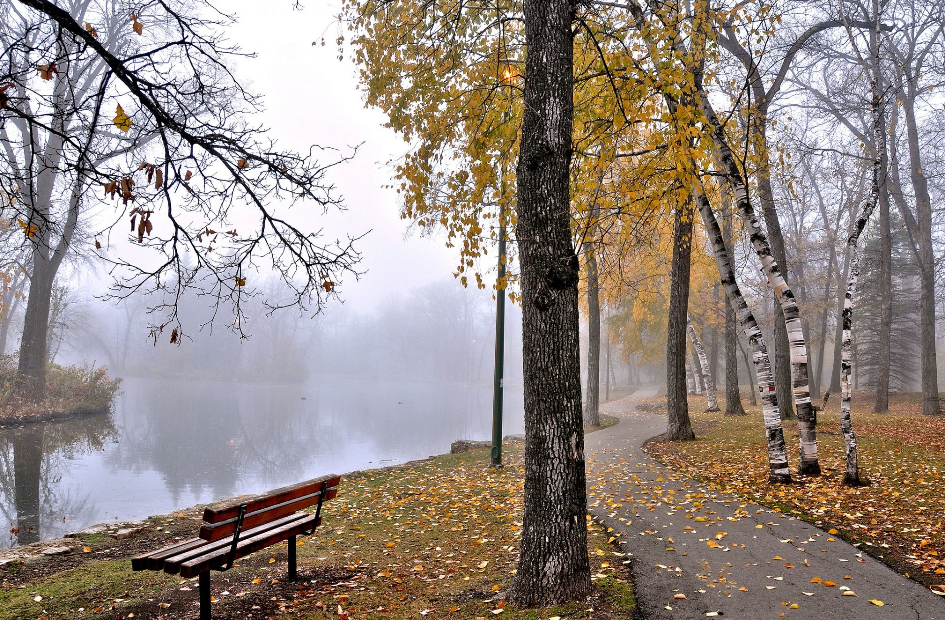 park mgła staw ławka drzewa jesień