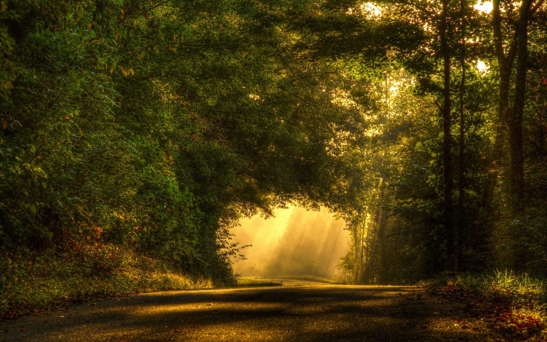 route lumière paysage