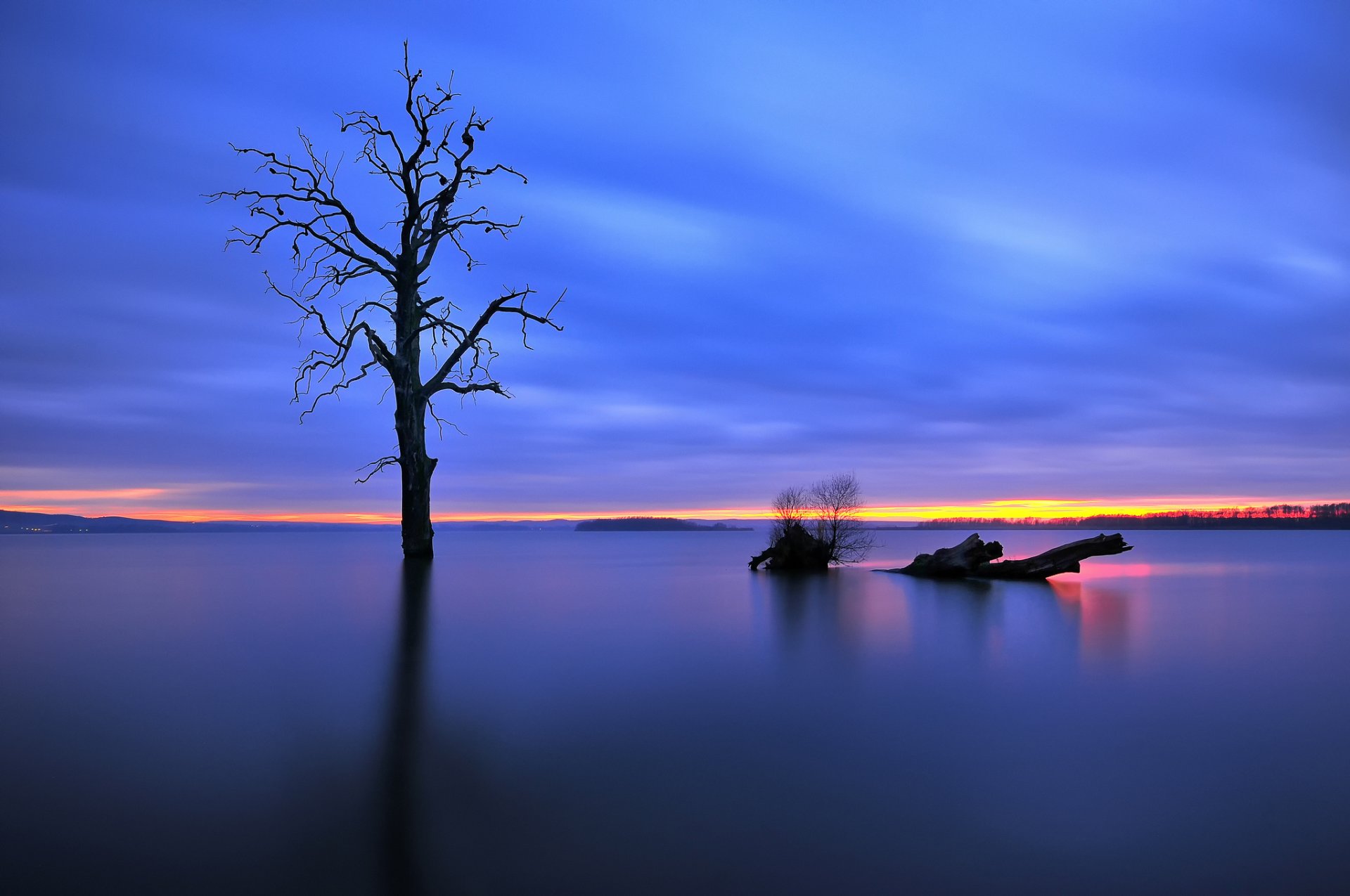 lake winter tree night light sunset