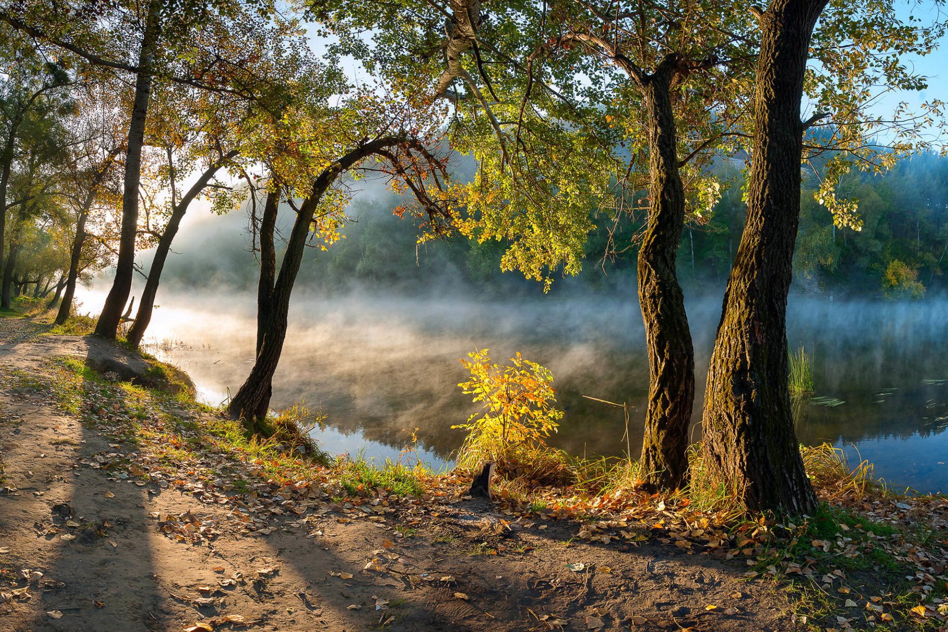 ukraine donbass svyatogorsk seversky donets river tree leaves morning autumn