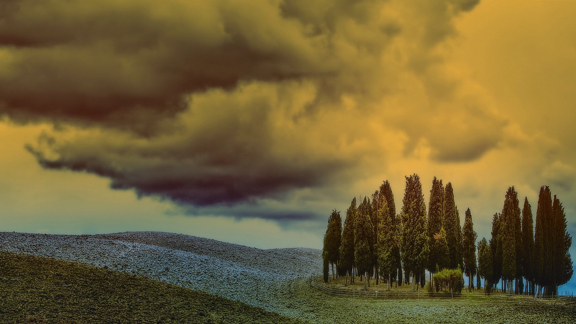 feld himmel bäume landschaft