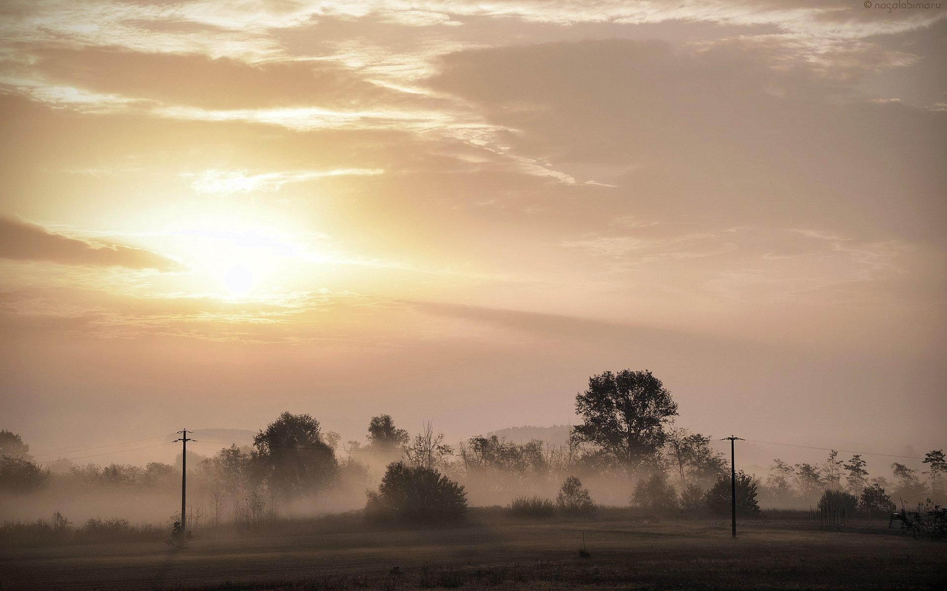 coucher de soleil champ brouillard paysage