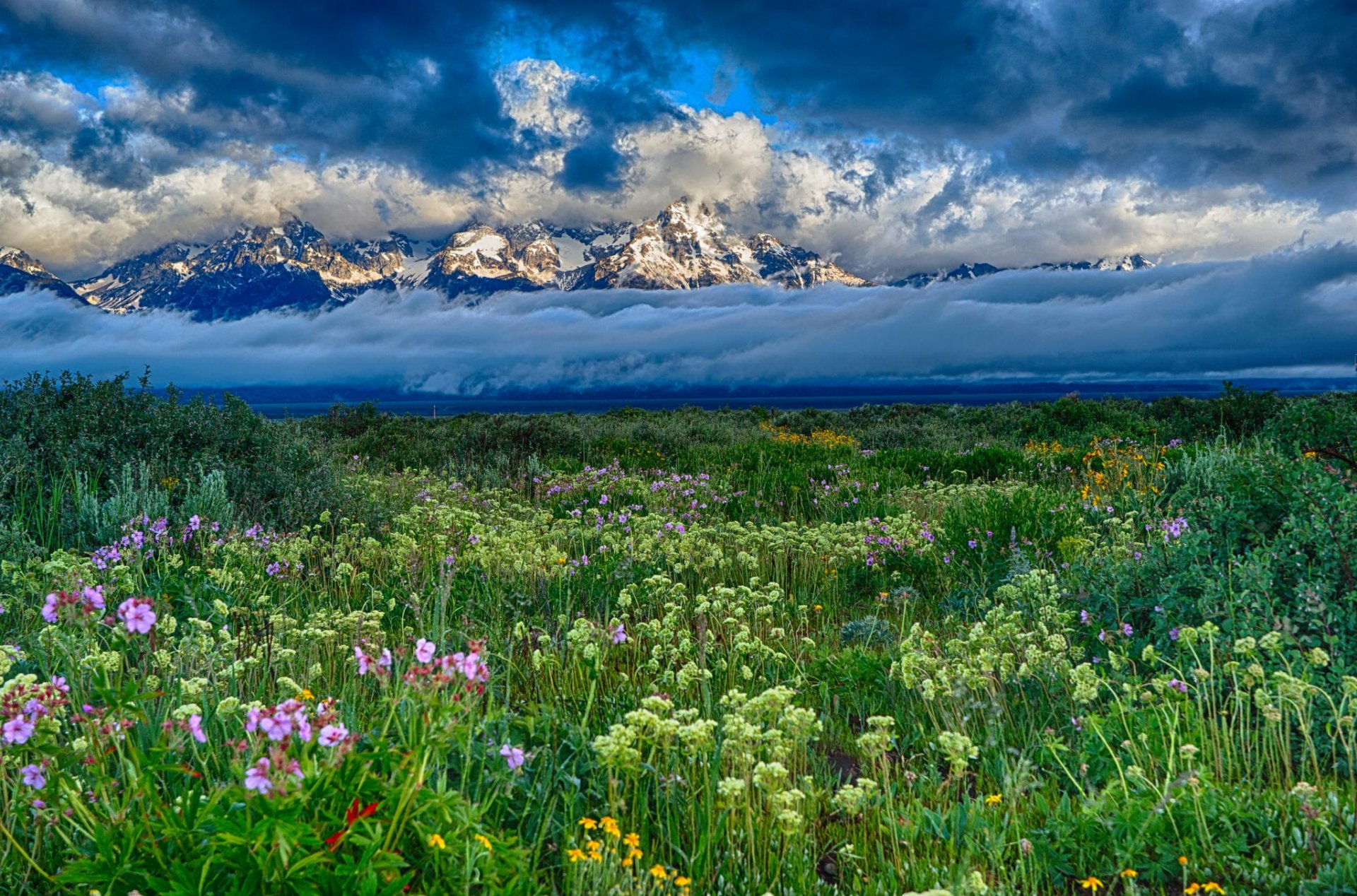 berge wolken schnee feld blumen landschaft natur