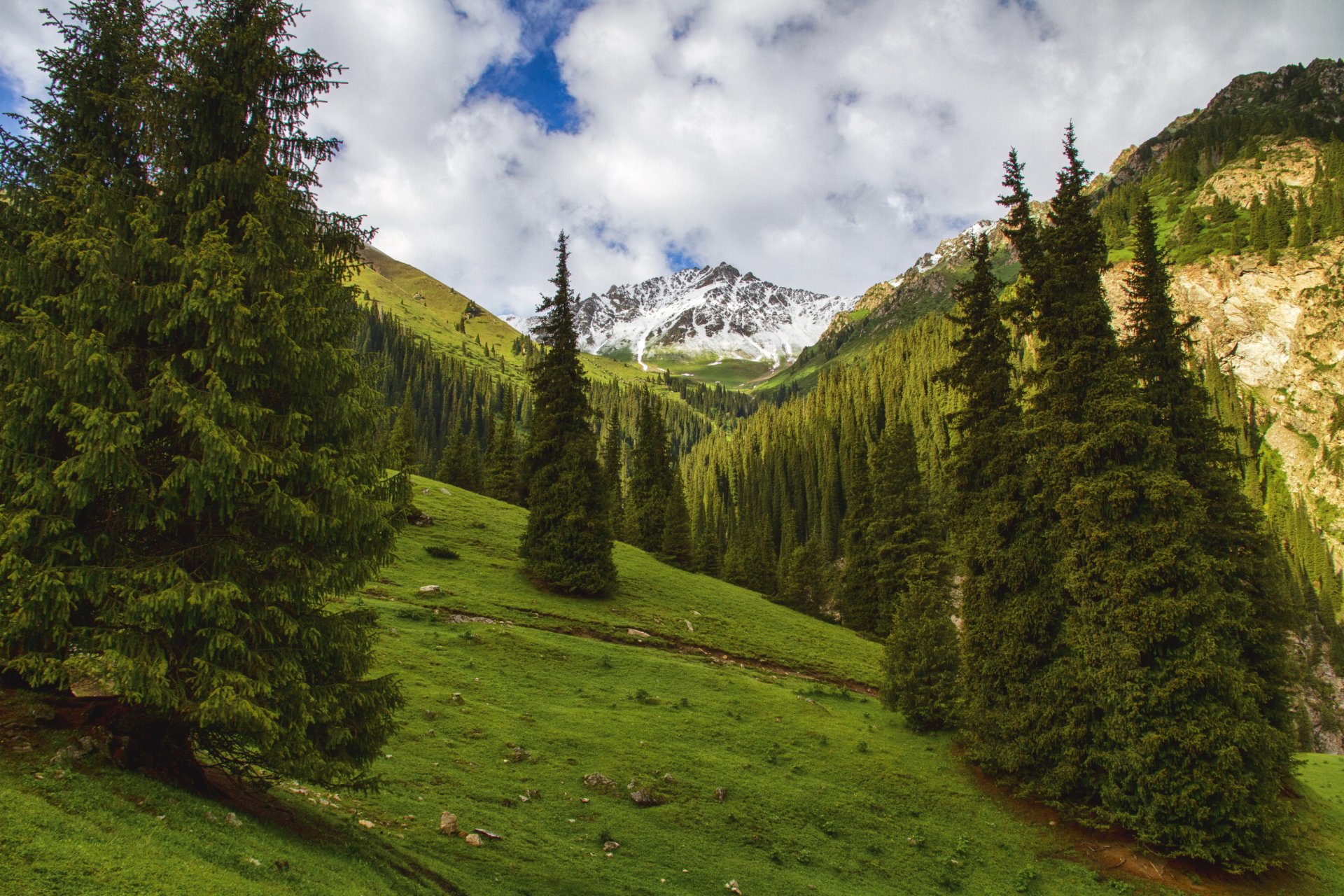 paesaggio montagne kirghizistan gola altyn arashan abete rosso natura foto