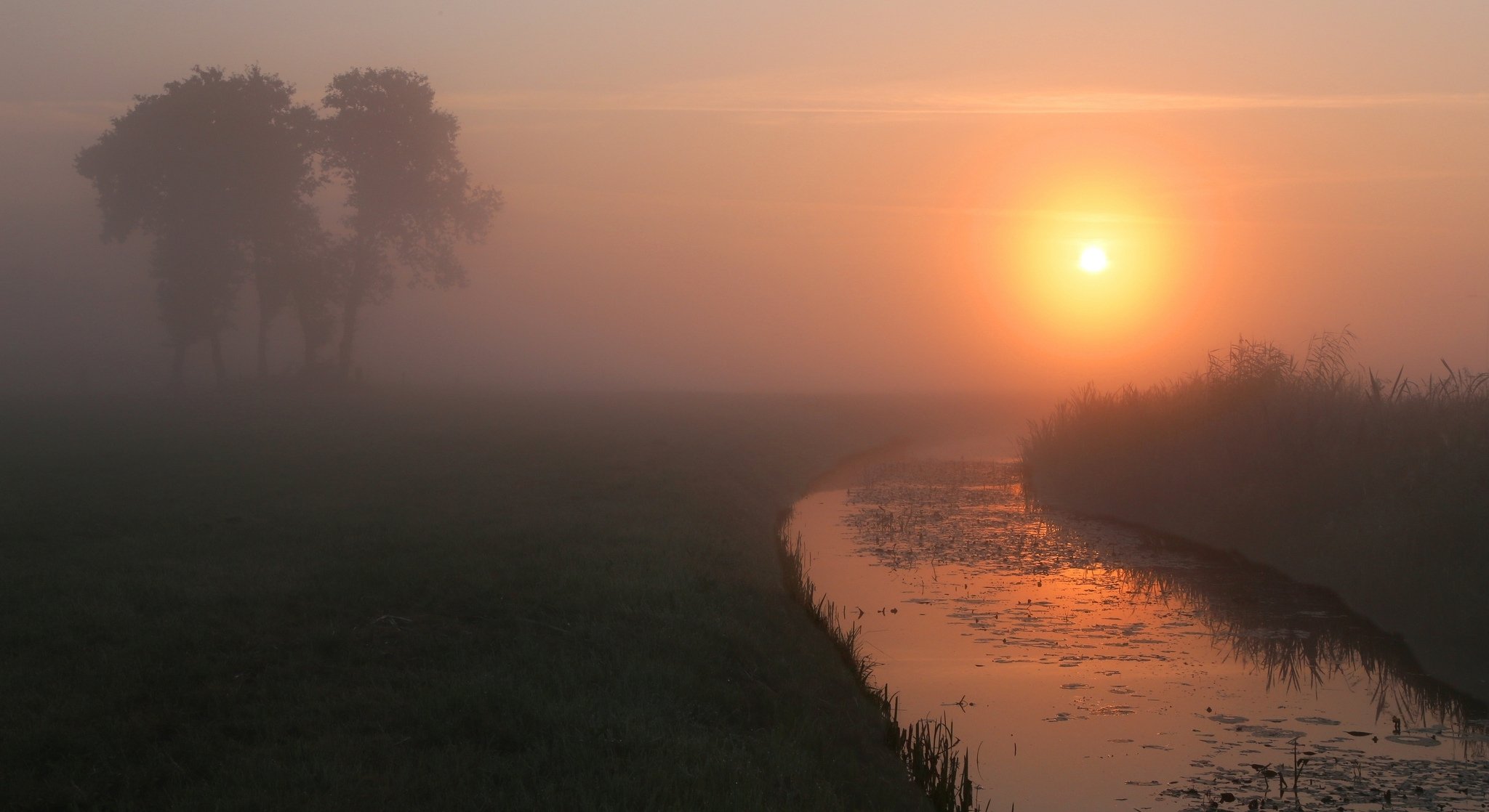 verano mañana amanecer niebla río