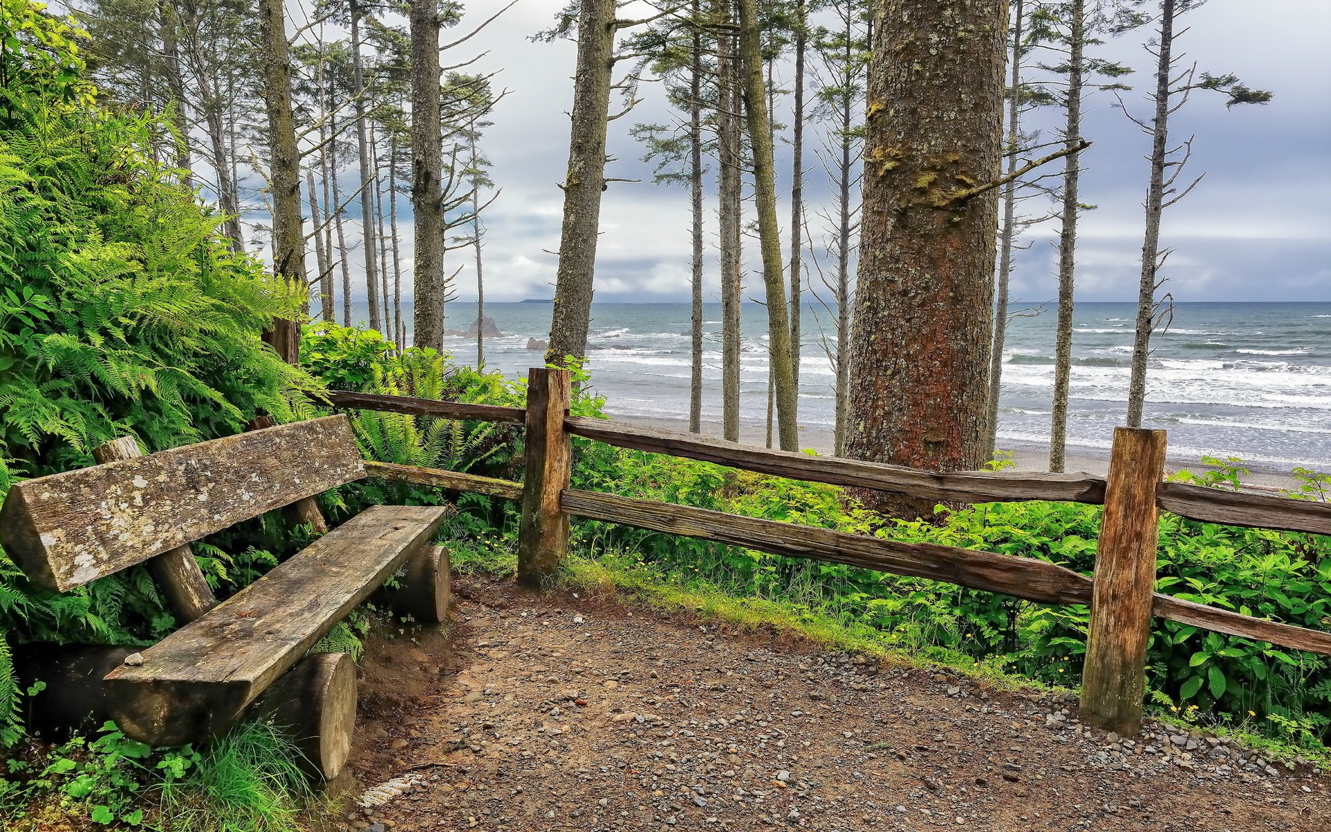 ruby beach benches ocean waves washington