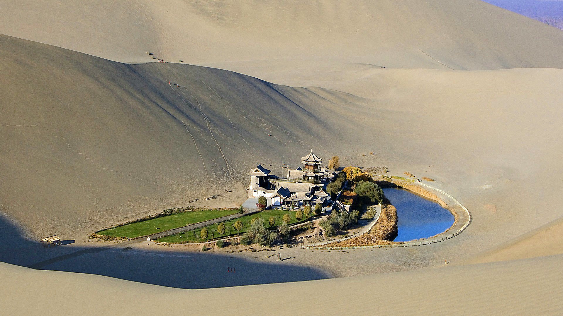 arena desierto oasis hierba estanque pagoda árboles