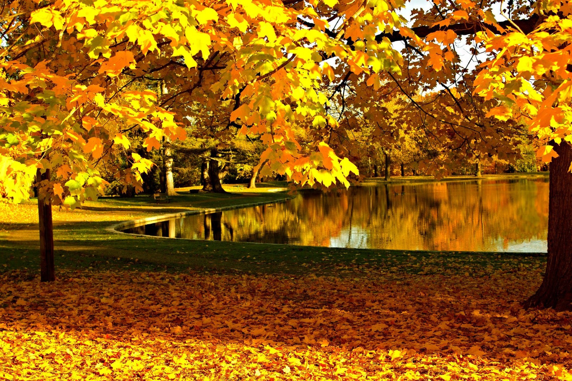 naturaleza cielo río agua bosque parque árboles hojas colorido otoño caída colores paseo montañas