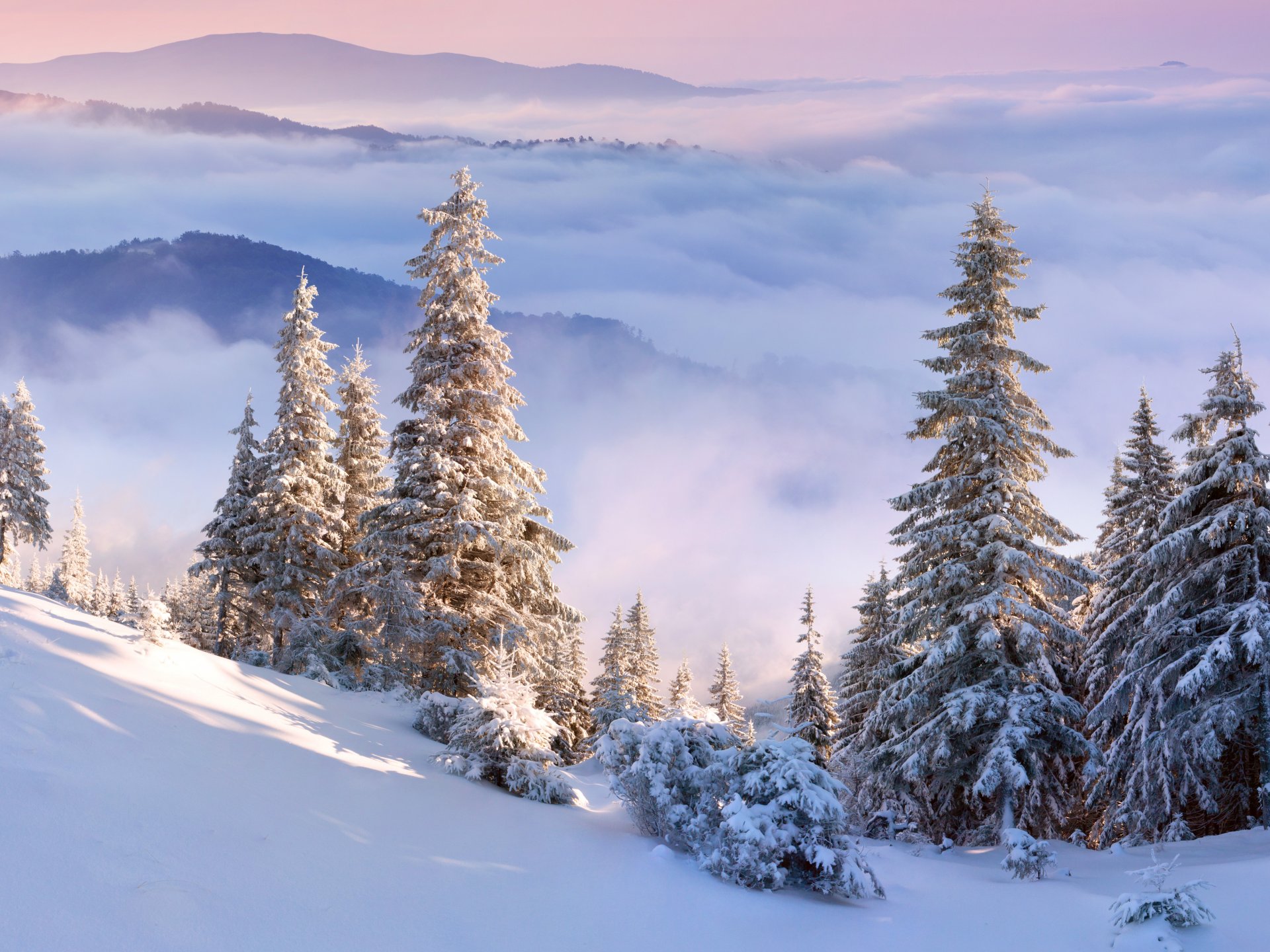 cielo nuvole montagne inverno alberi neve pendio abete rosso