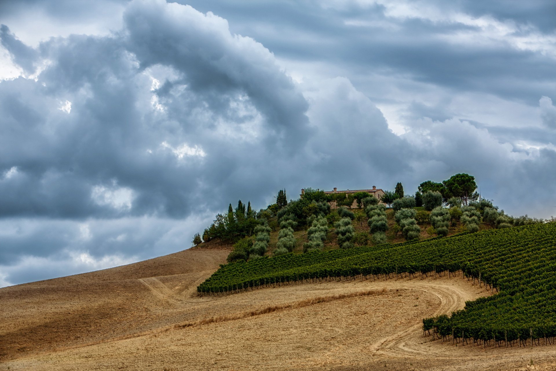 feld berg landschaft