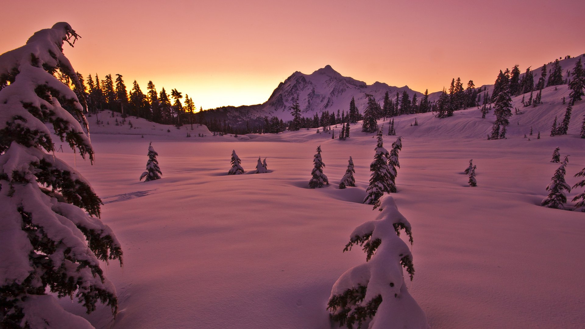 winter snow tree mountain sky sunset