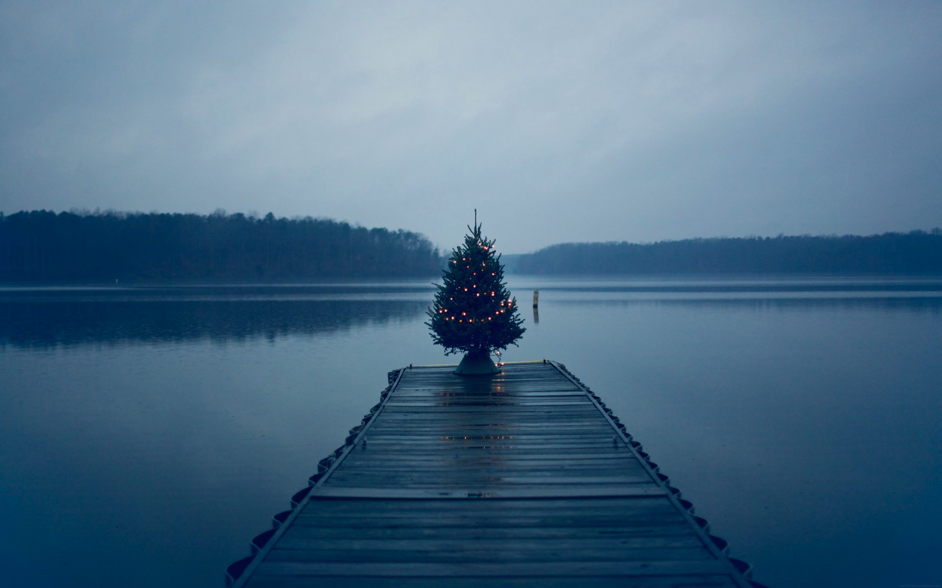 see wasser pier wald wolken weihnachtsbaum lichter