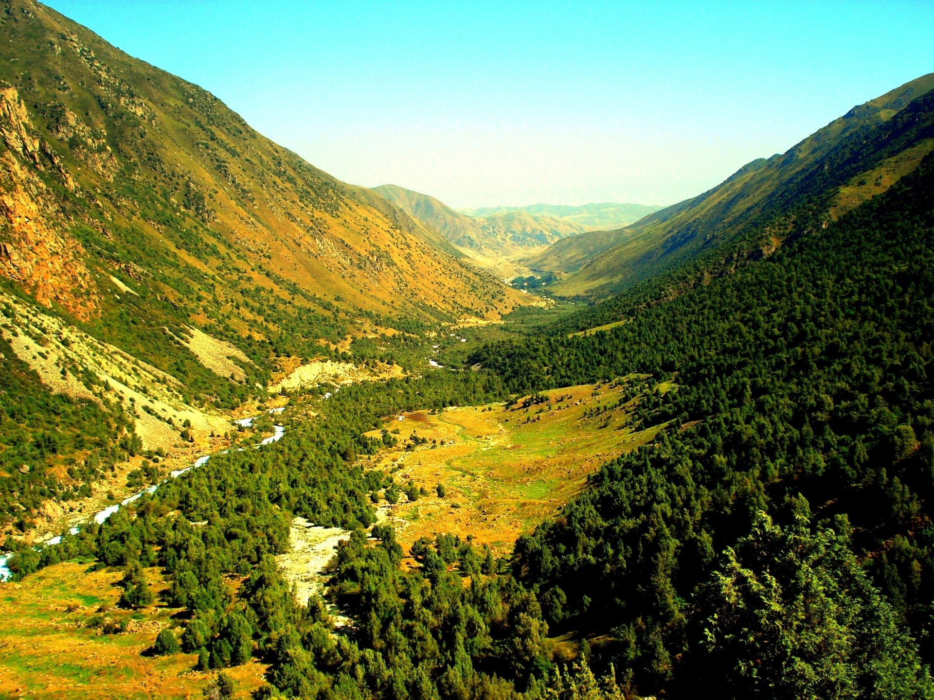 berge wald natur himmel landschaft foto