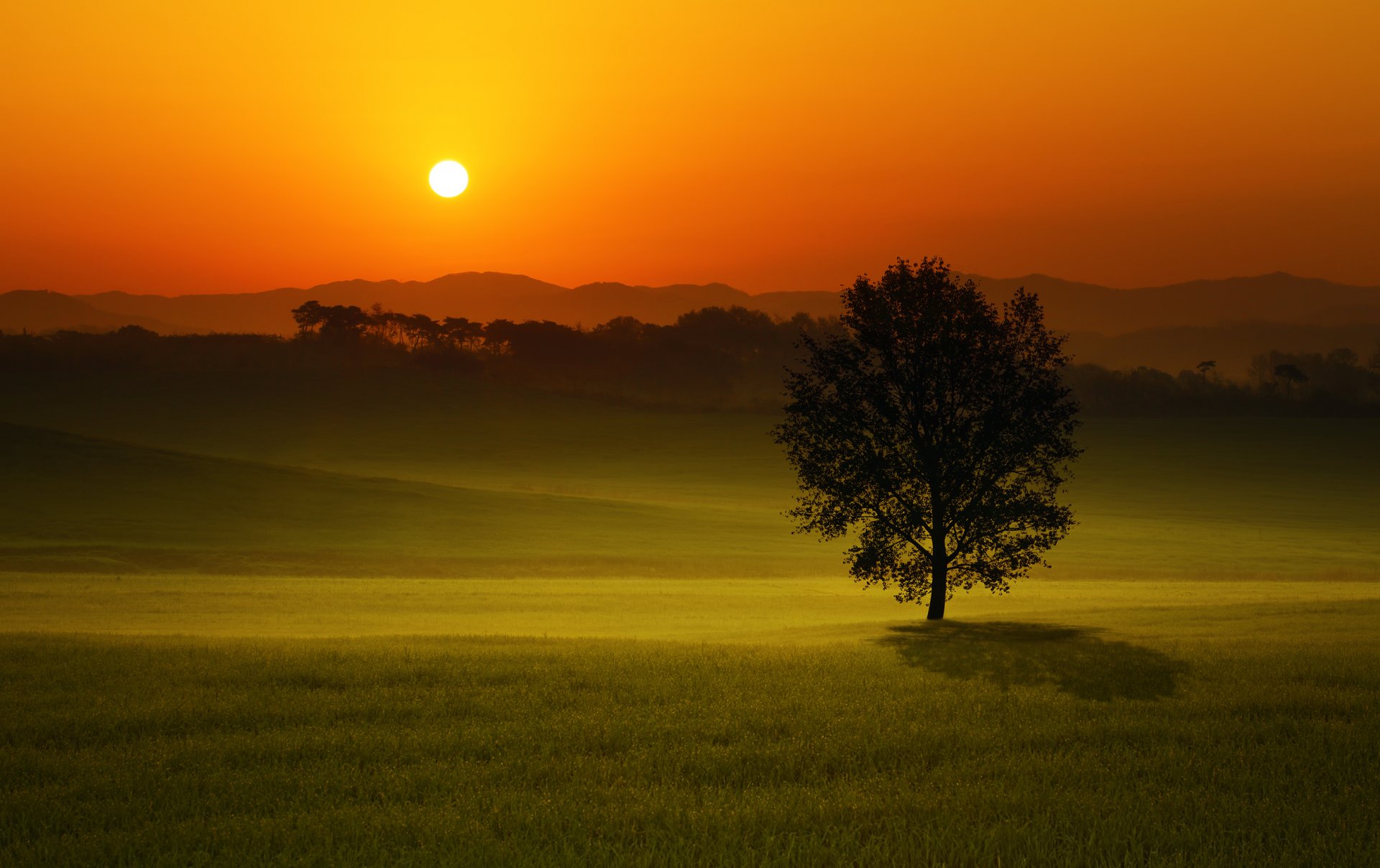 sonnenuntergang feld baum landschaft