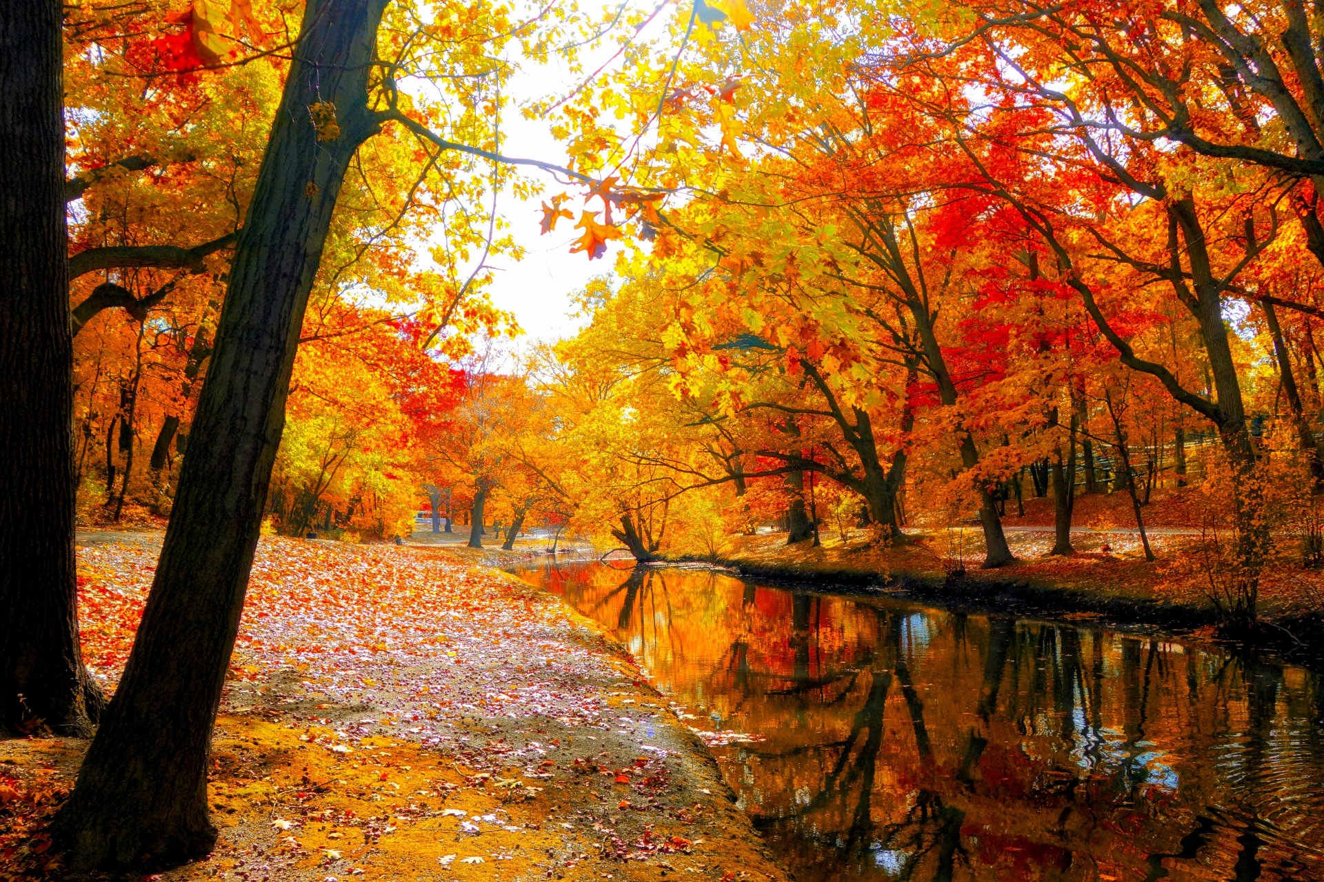 nature sky river water forest park trees leaves colorful autumn fall colors walk mountain