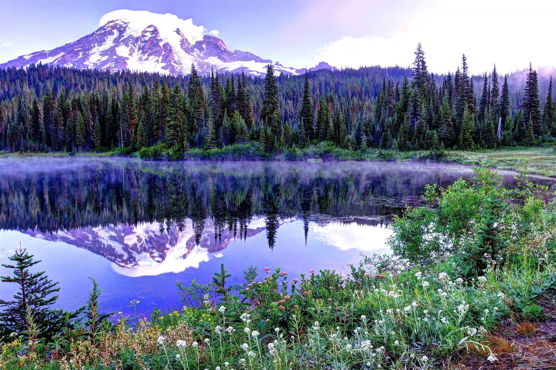 monte rainier stati uniti cielo primavera alberi montagne neve abete rosso cima lago fiori