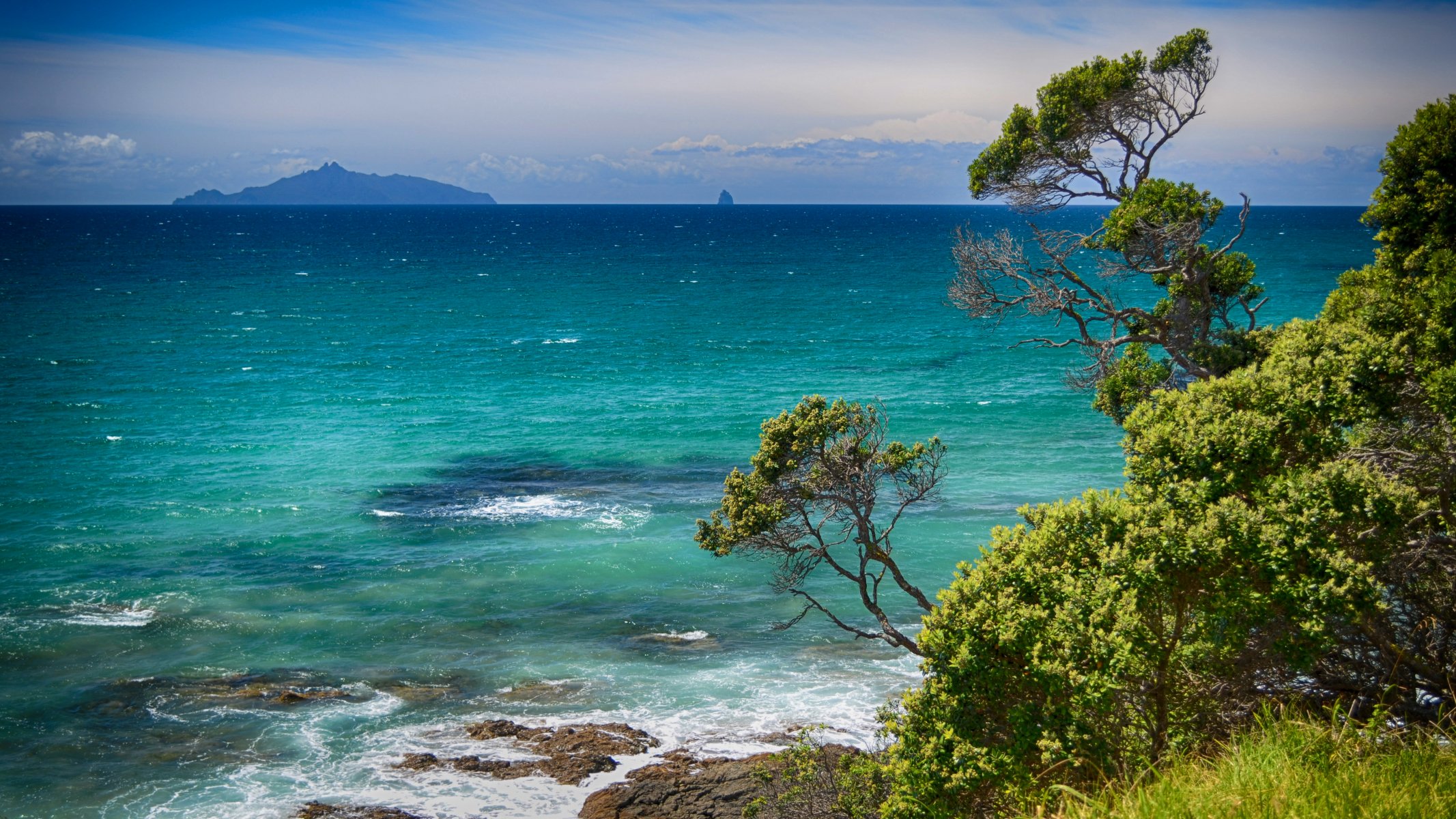 ea clouds blue tree summer