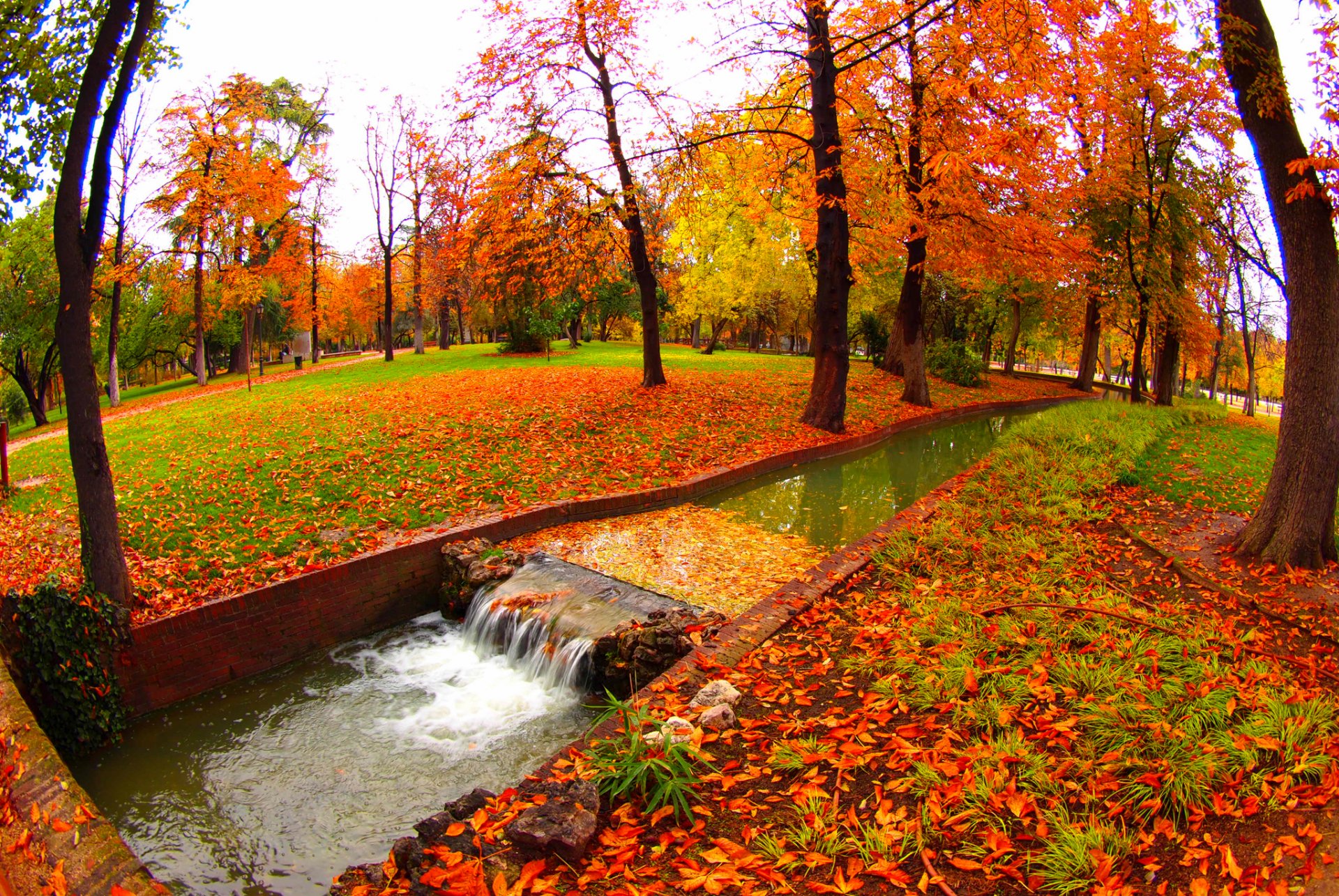 parco ruscello acqua alberi autunno