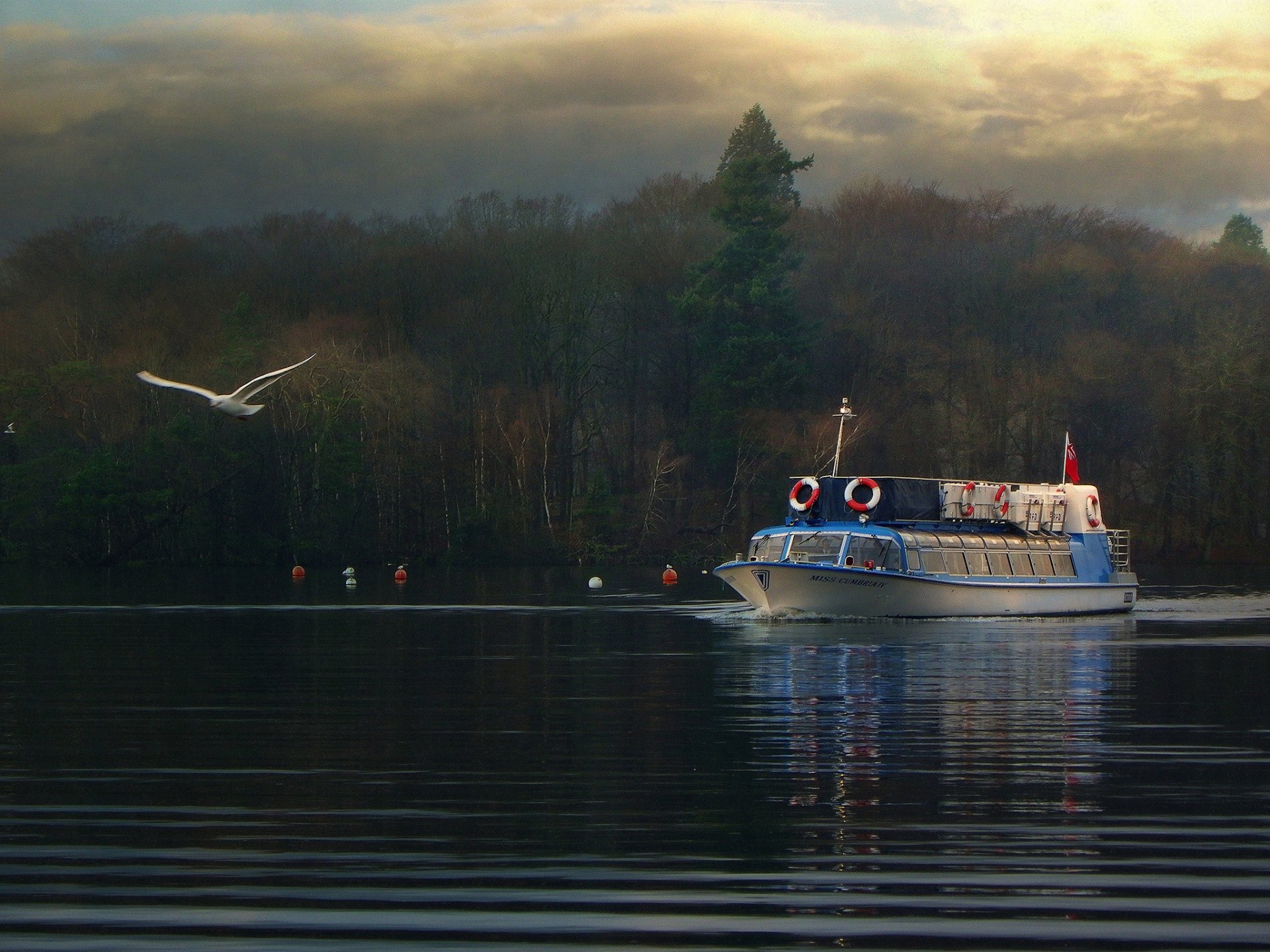 england lake windermere ship seagull forest autumn