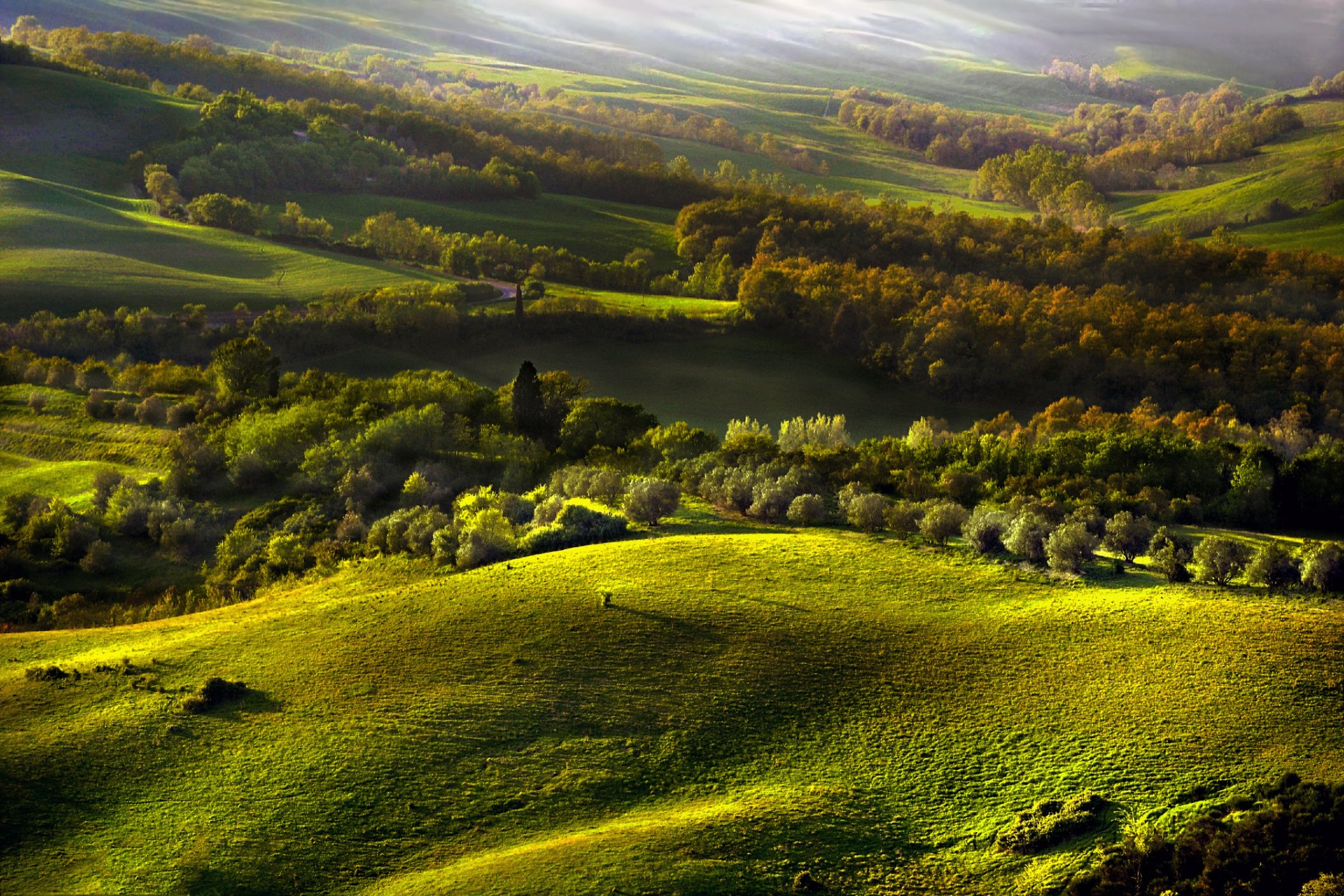 hills forest autumn