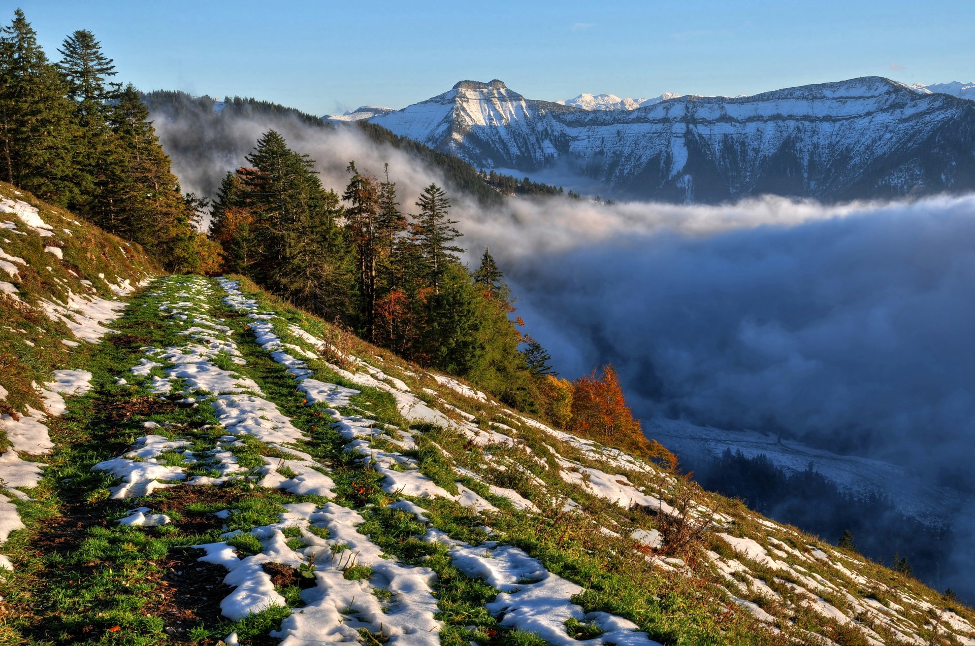 pendenza neve alberi montagne nebbia cielo