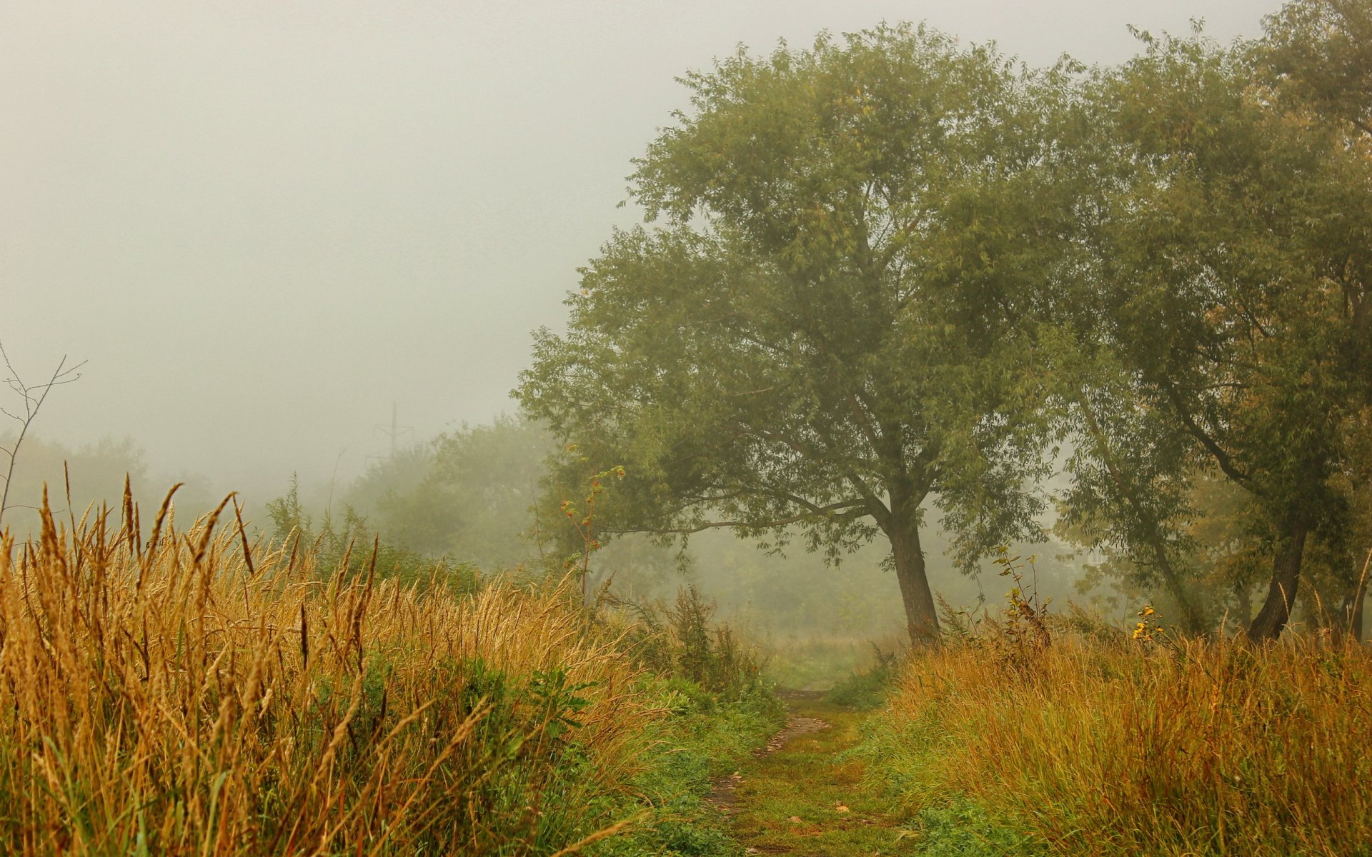 automne paysage nature