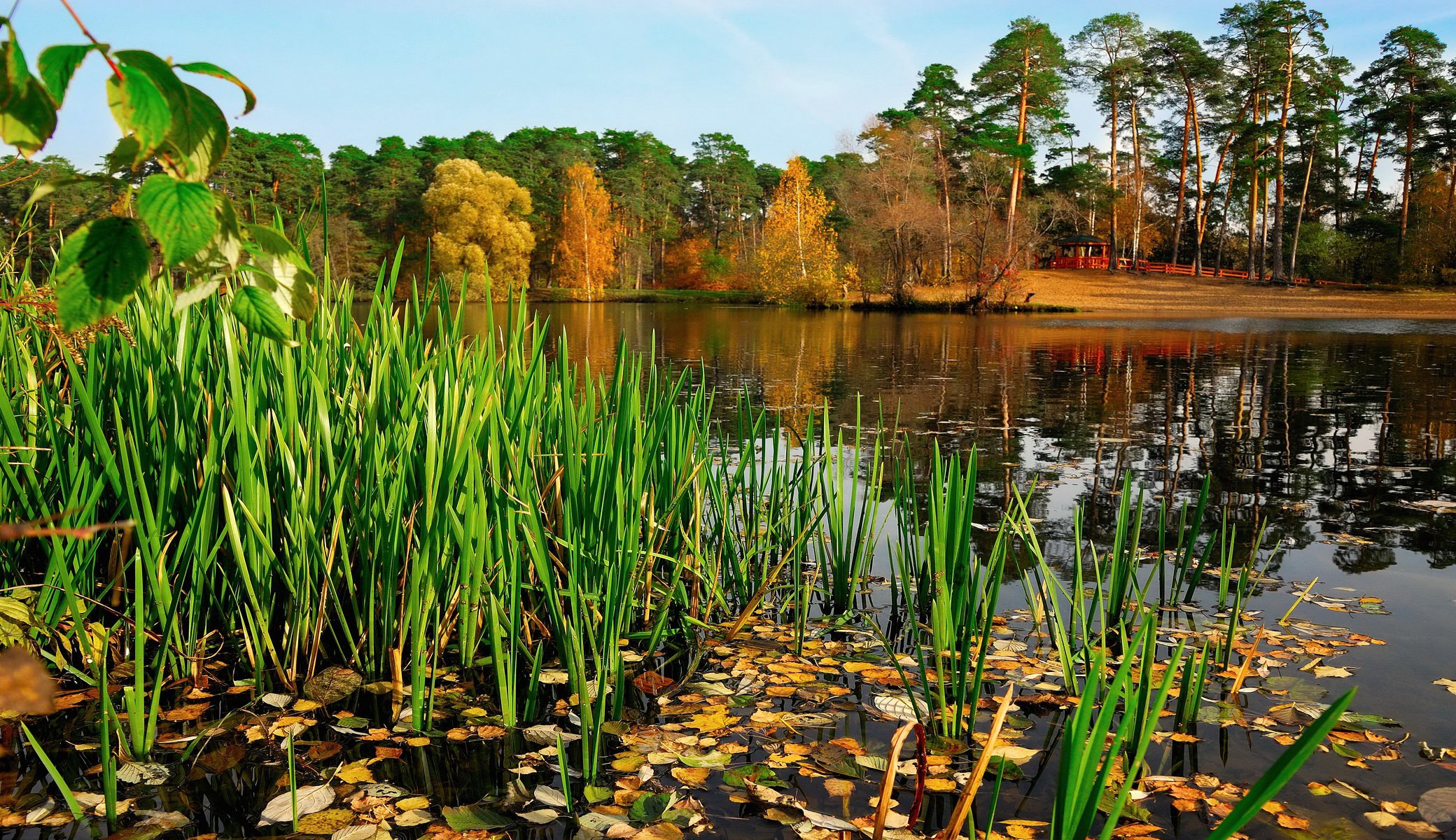 rusia río parque otoño región de moscú naturaleza foto