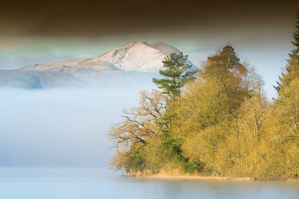 Fog over the lake near the forest