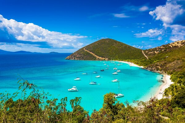 Jungle: la plage de l océan se confond avec le ciel